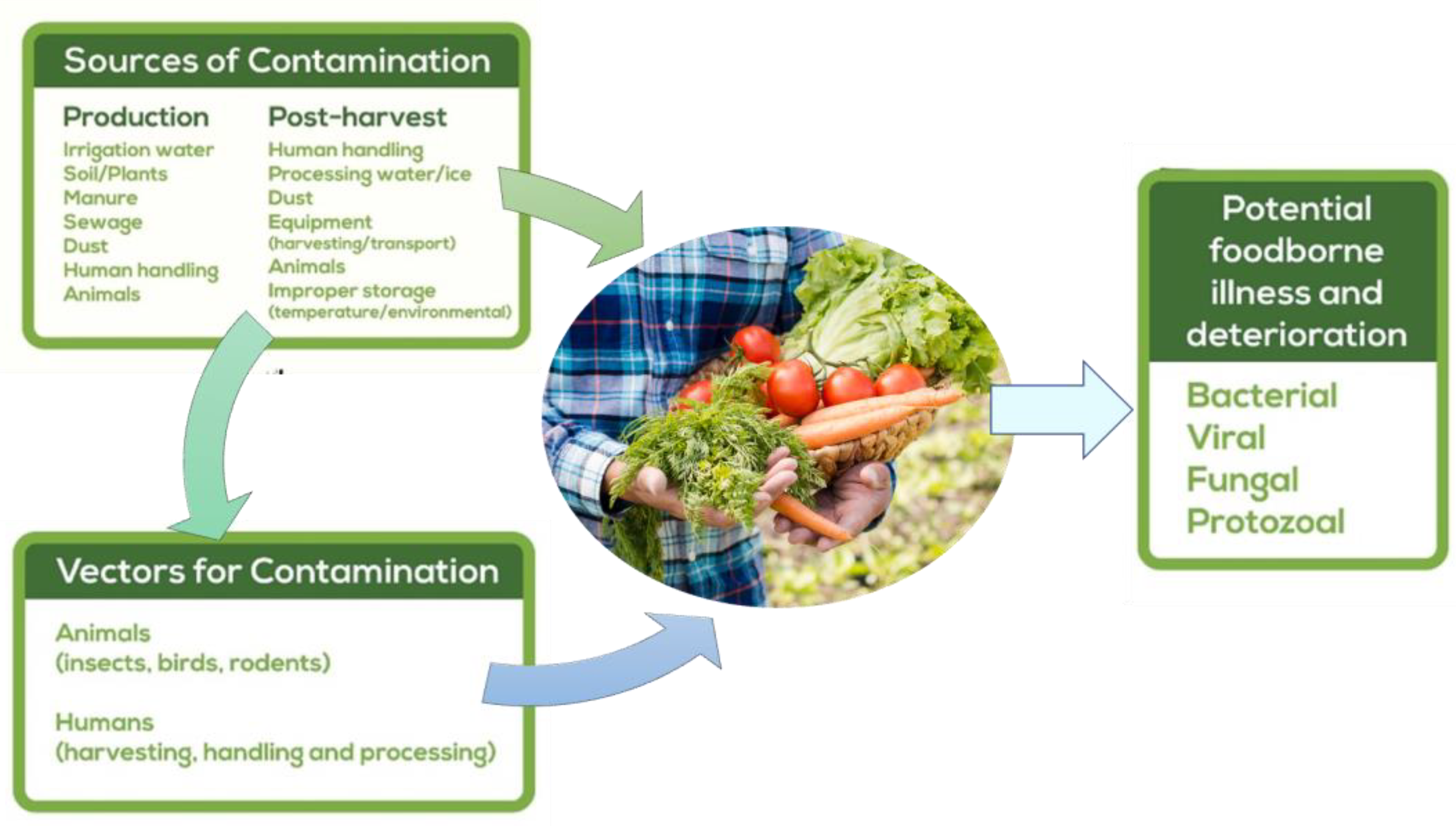 Microorganisms 11 02990 g002 Microorganisms 11 02990 g002