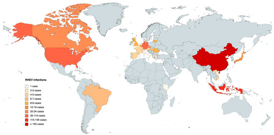 Rocahepevirus ratti as an Emerging Cause of Acute Hepatitis Worldwide
