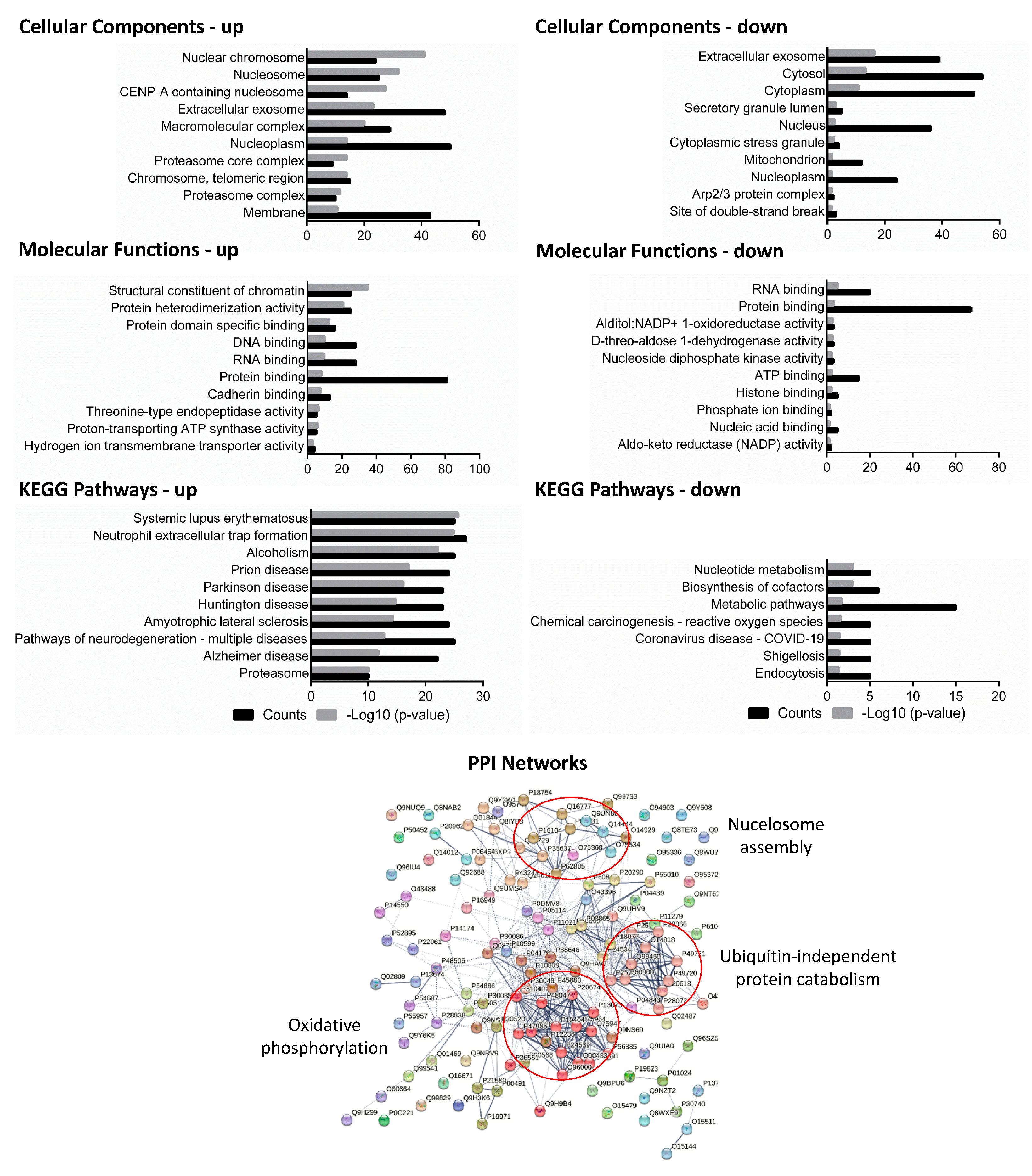 Microorganisms 11 02998 g003 Microorganisms 11 02998 g003
