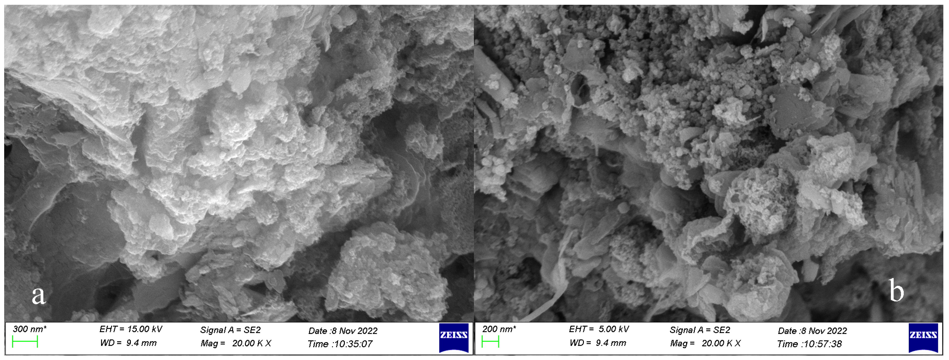 Microorganisms 11 03003 g009a
