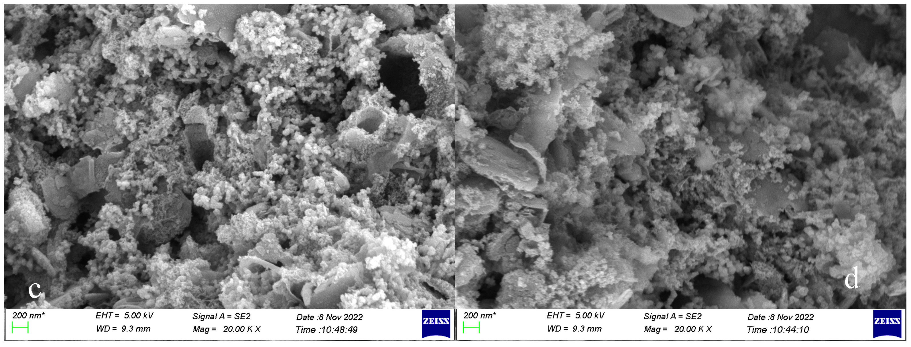 Microorganisms 11 03003 g009b