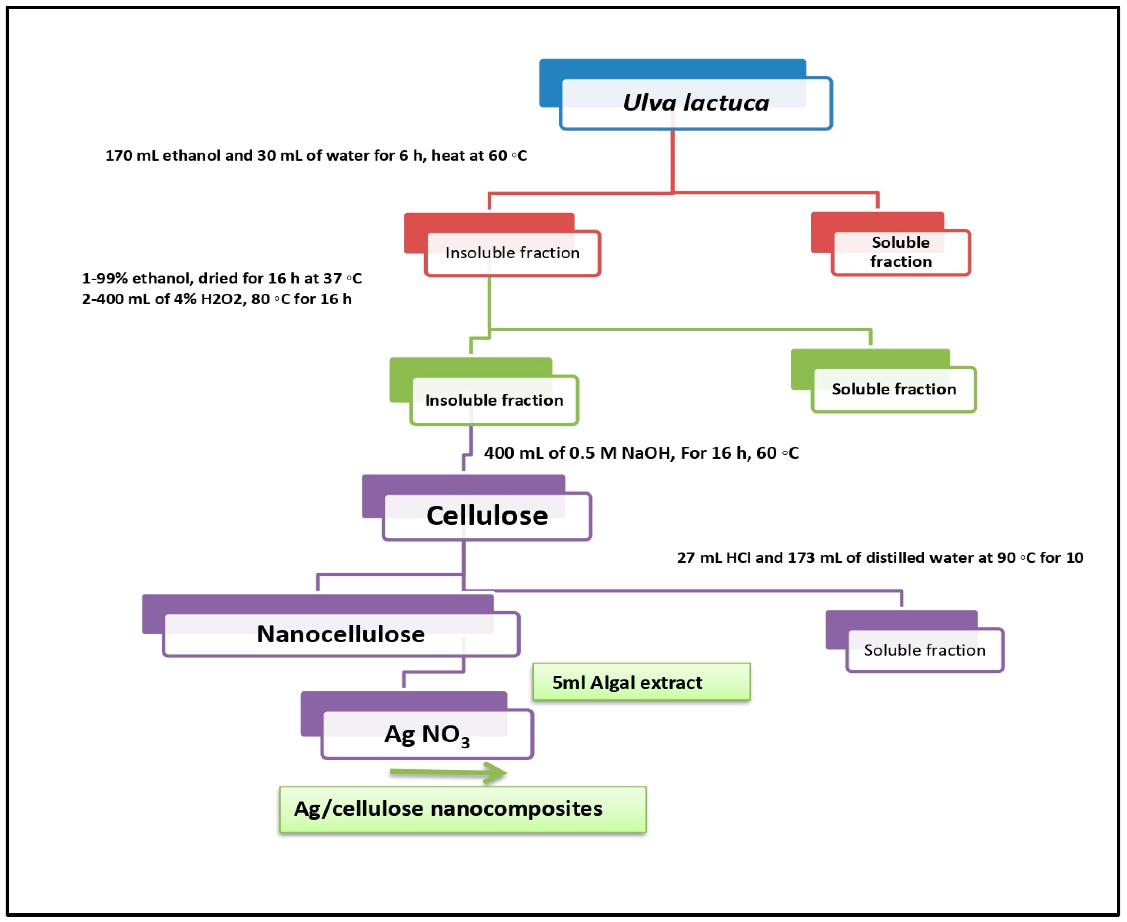 Microorganisms 12 00001 g001