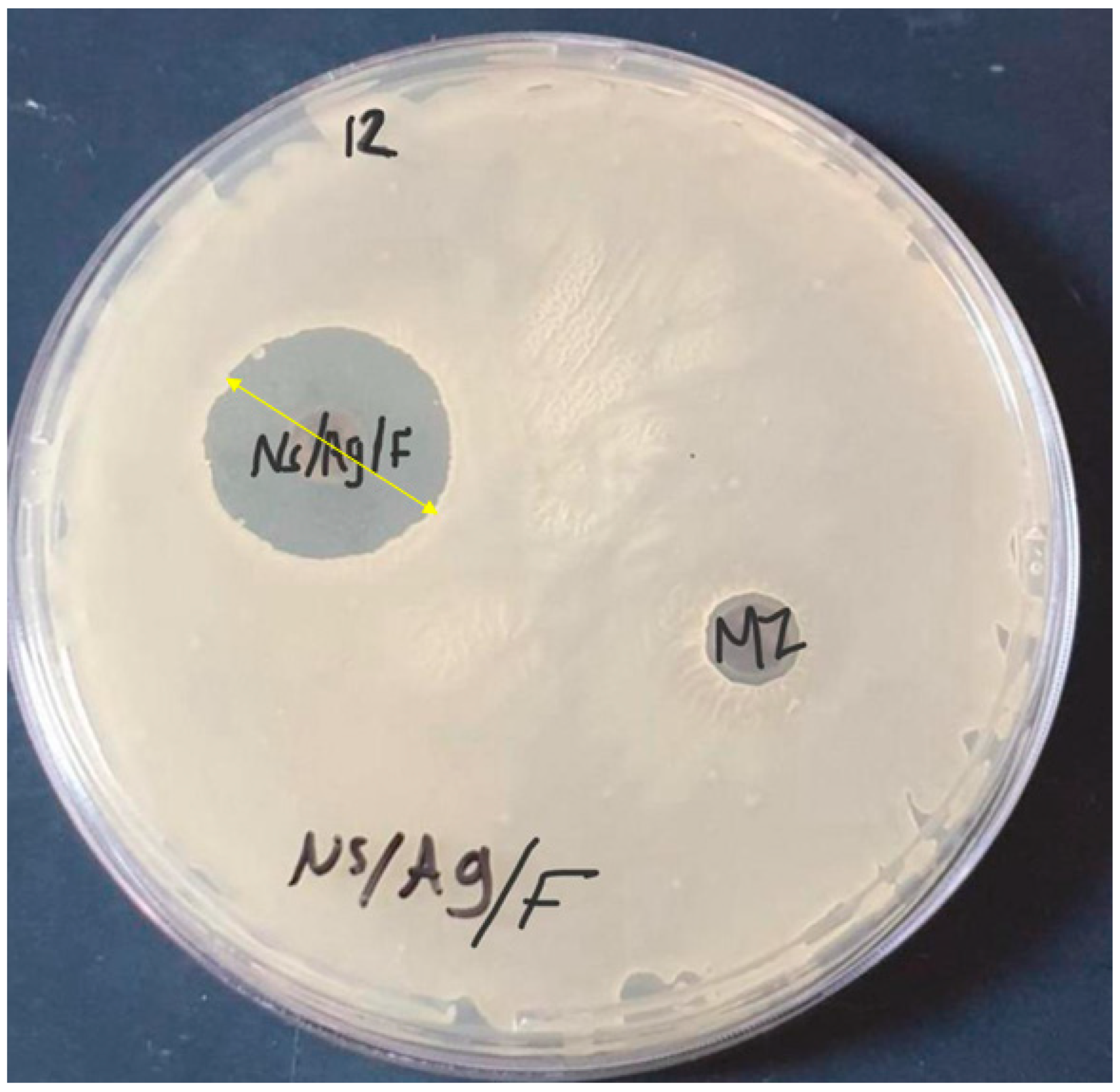 Microorganisms 12 00001 g006