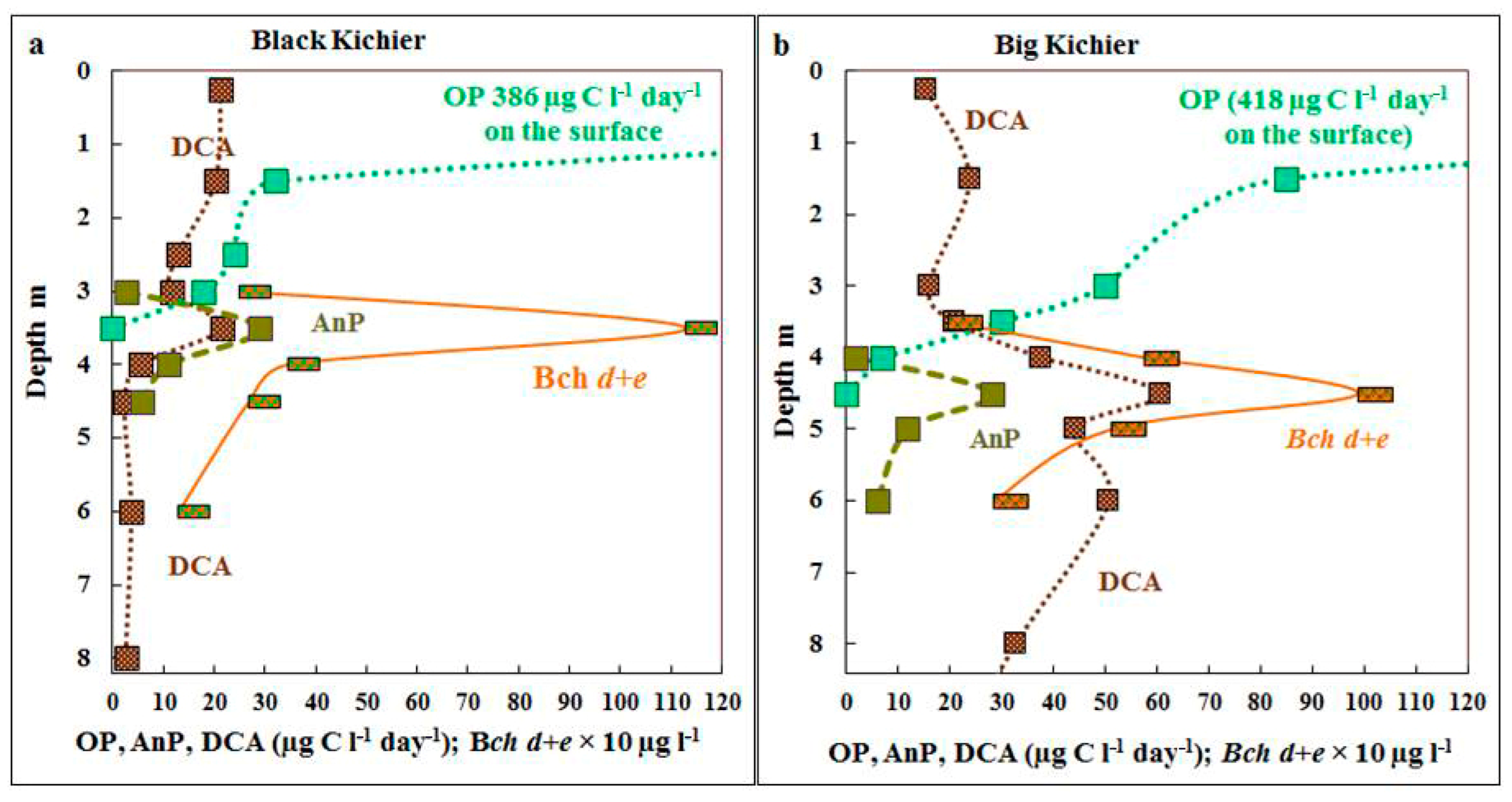 Microorganisms 12 00013 g003