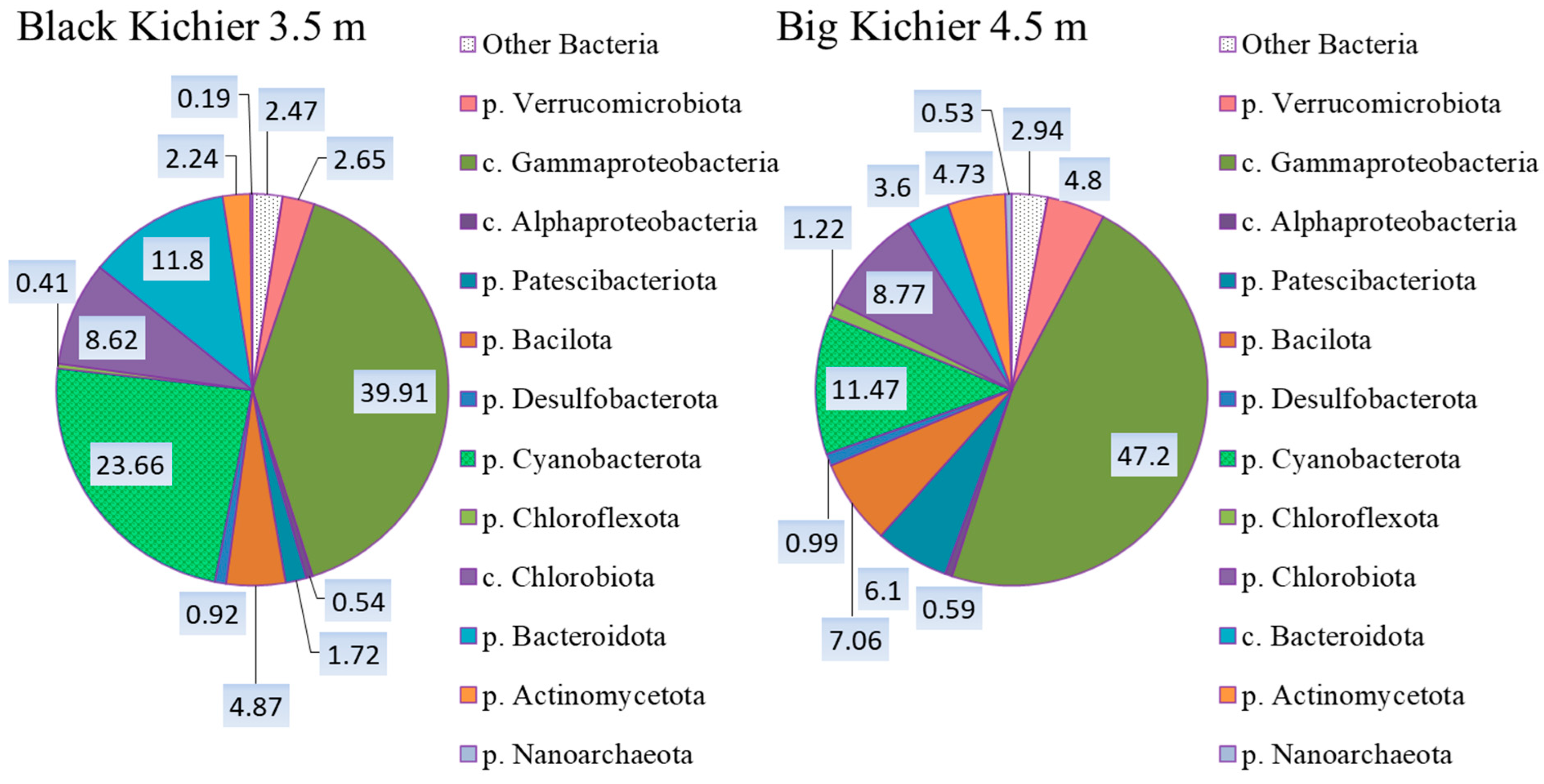 Microorganisms 12 00013 g004
