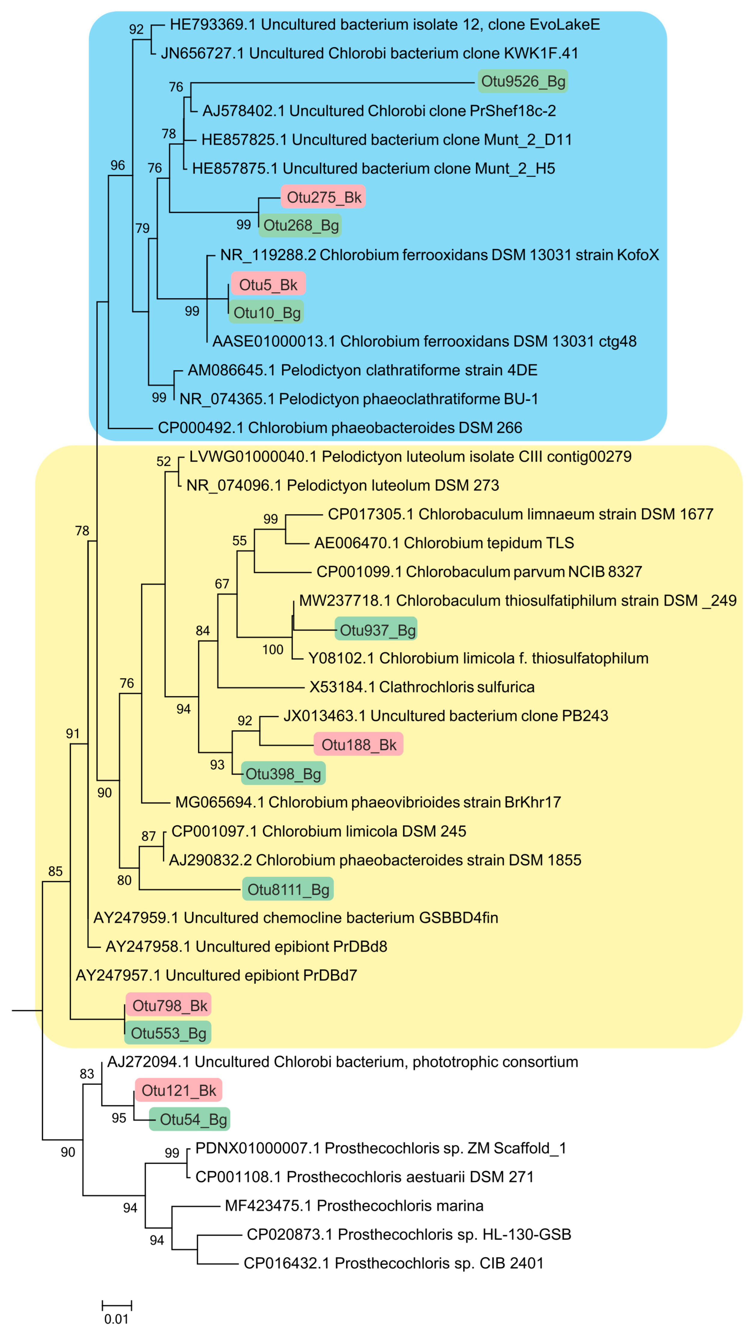 Microorganisms 12 00013 g008