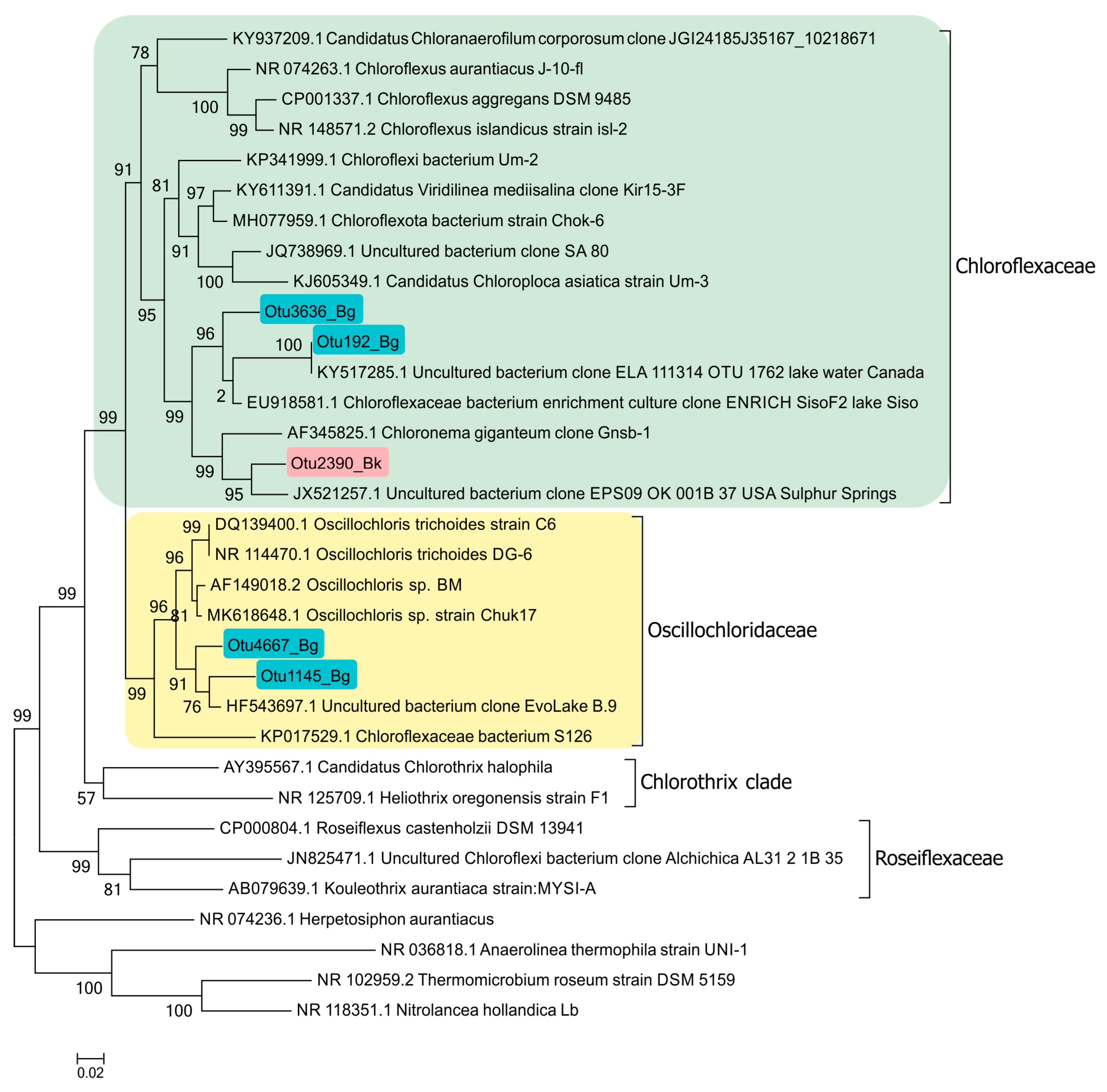 Microorganisms 12 00013 g015