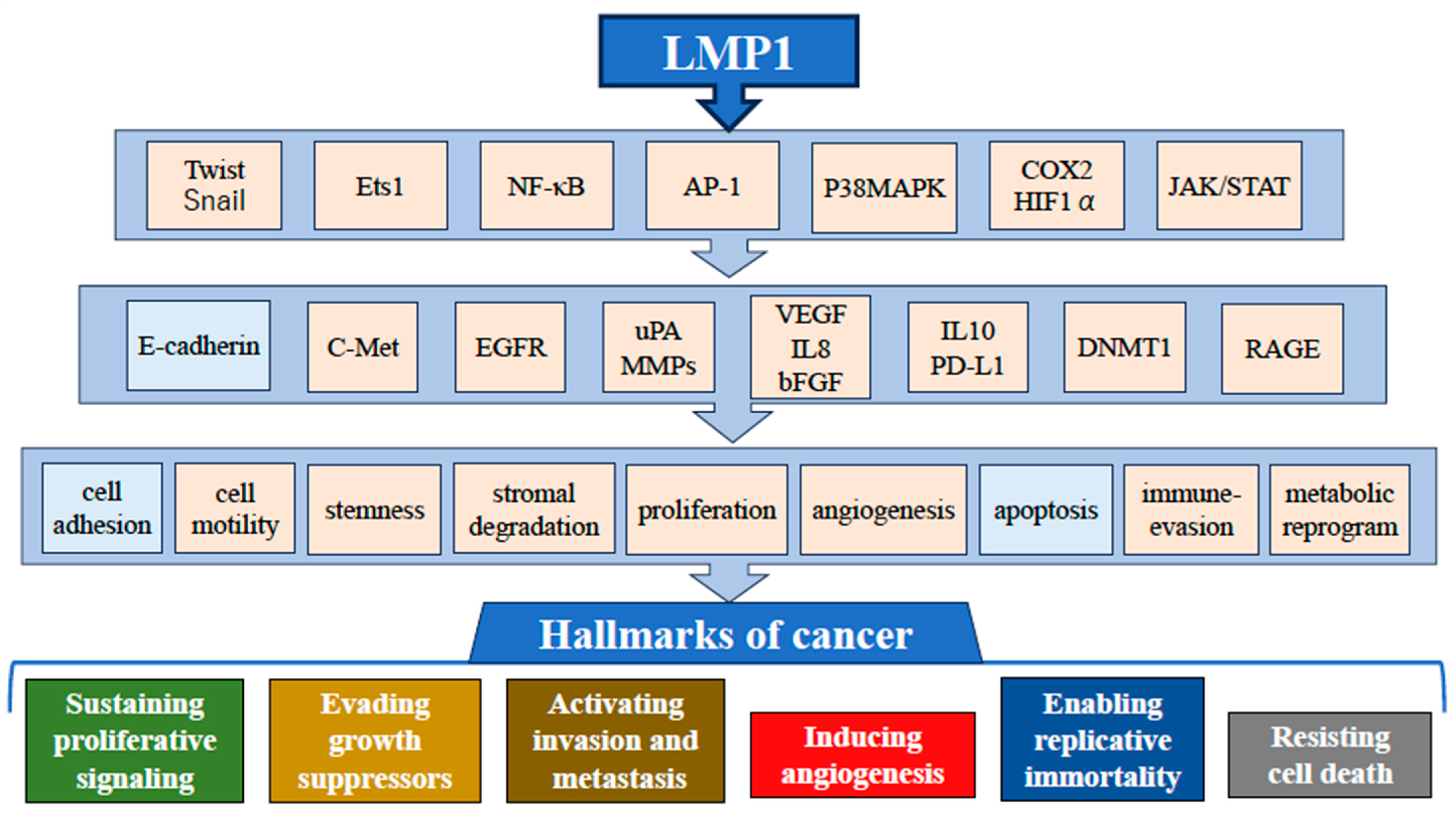 Recent Advances in Assessing the Clinical Implications of