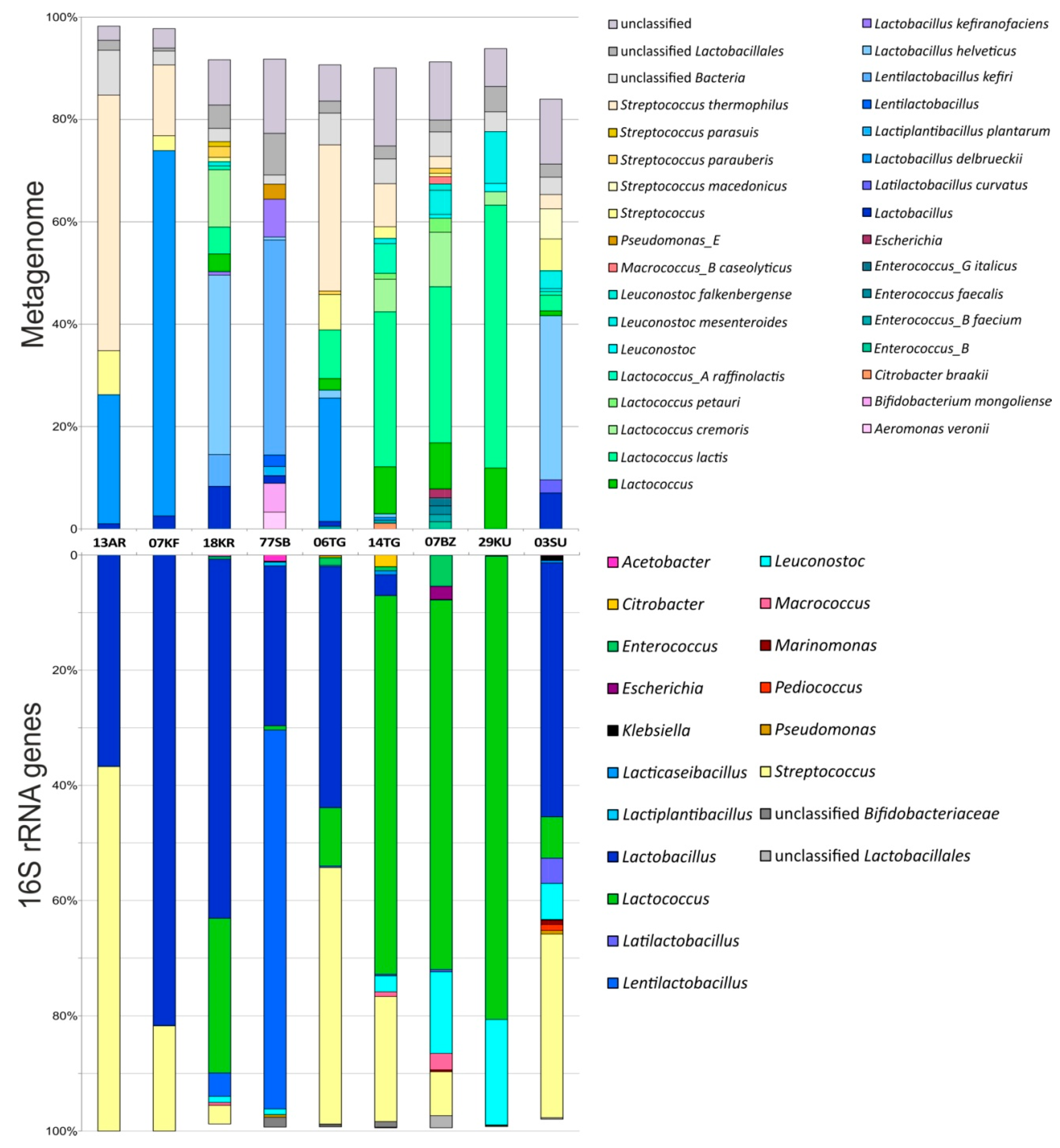 Microorganisms 12 00016 g001 Microorganisms 12 00016 g001