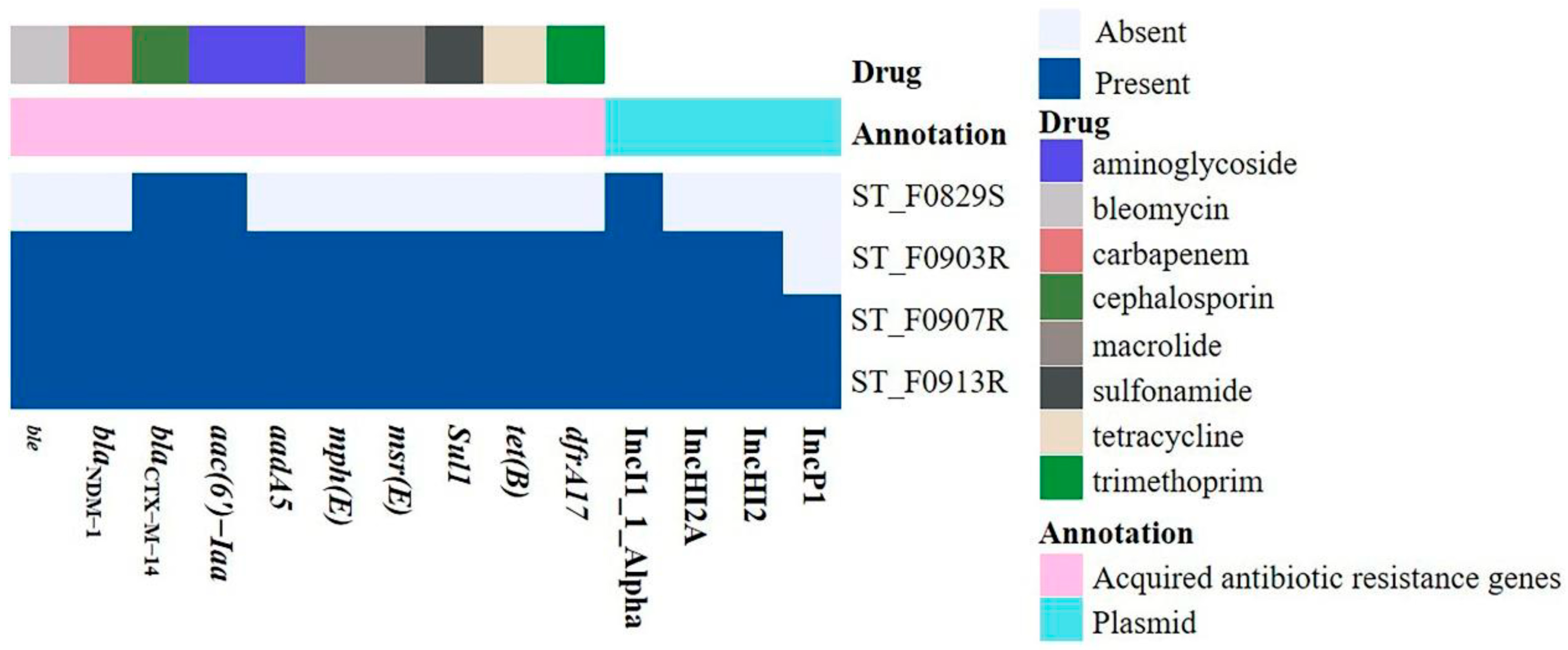 Microorganisms 12 00020 g001 Microorganisms 12 00020 g001