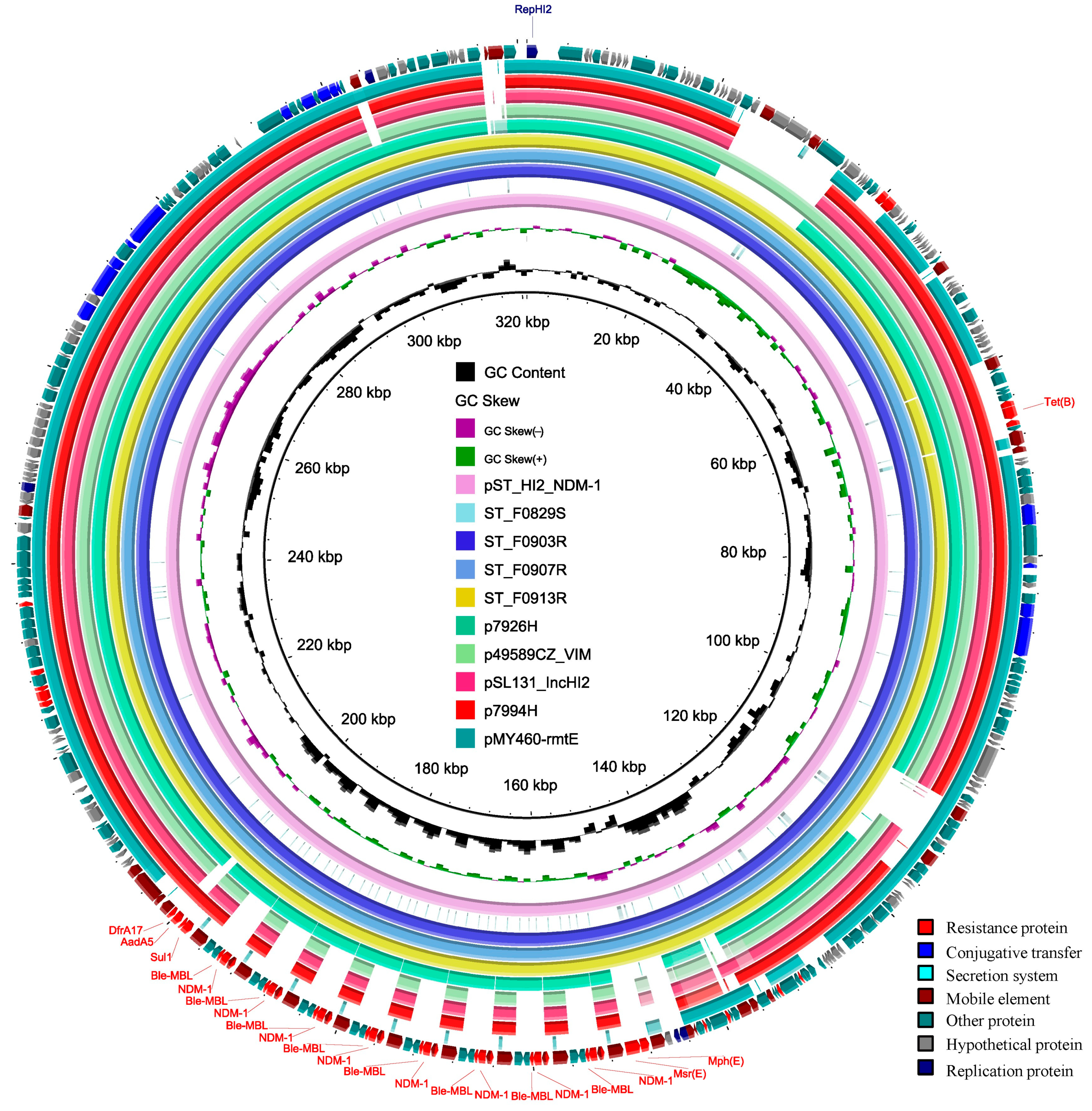 Microorganisms 12 00020 g002 Microorganisms 12 00020 g002