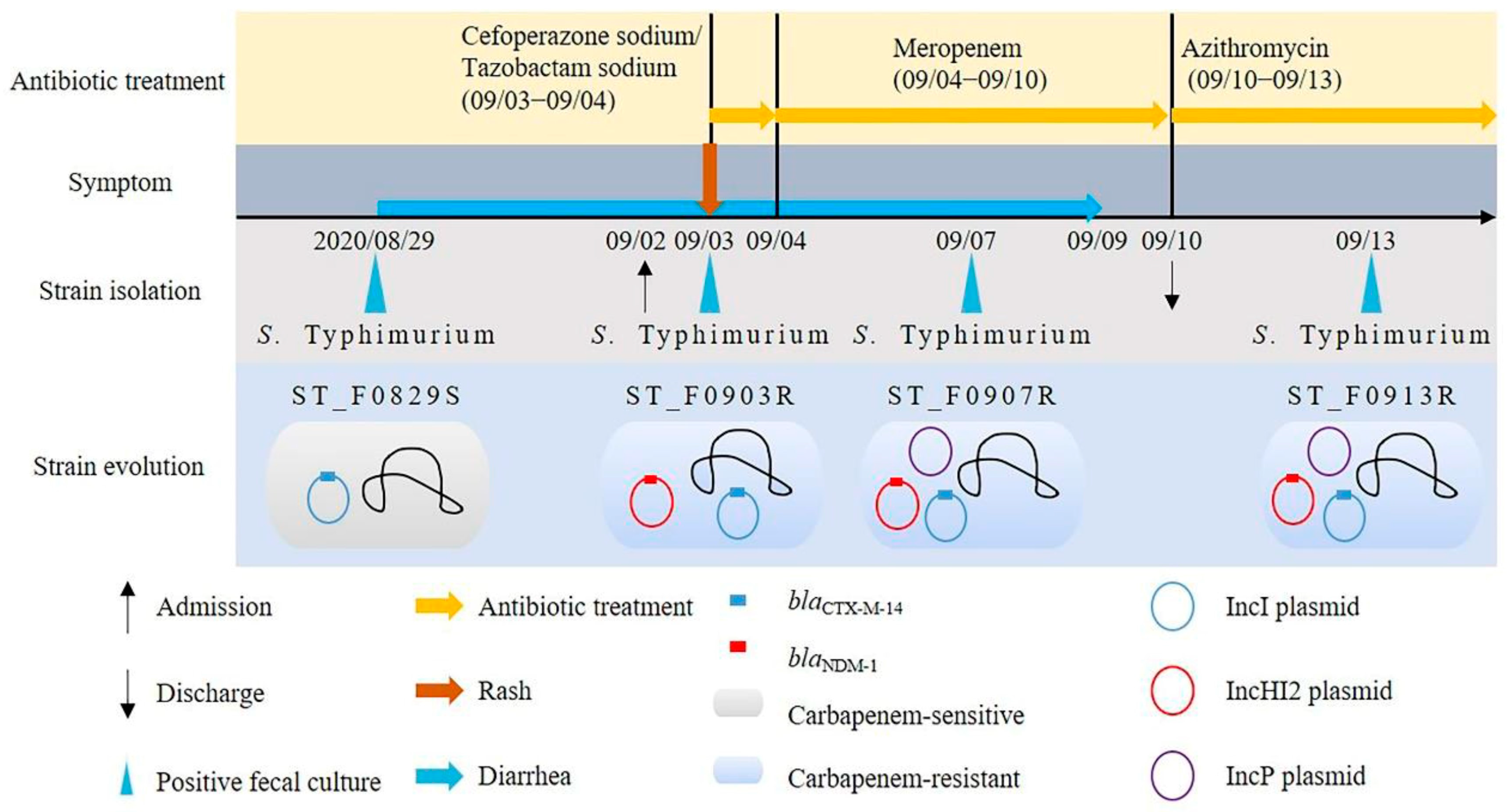 Microorganisms 12 00020 g003 Microorganisms 12 00020 g003