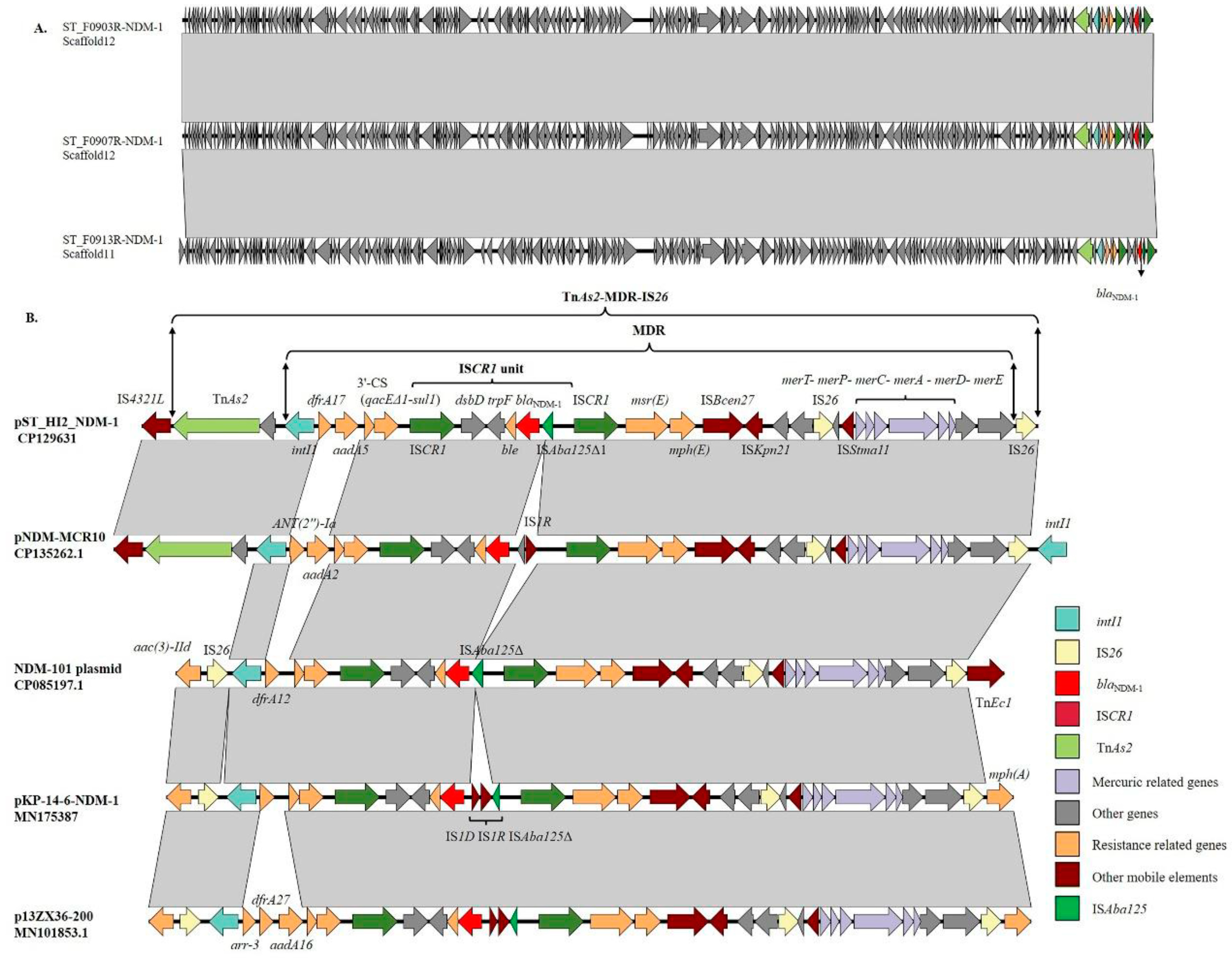 Microorganisms 12 00020 g004 Microorganisms 12 00020 g004