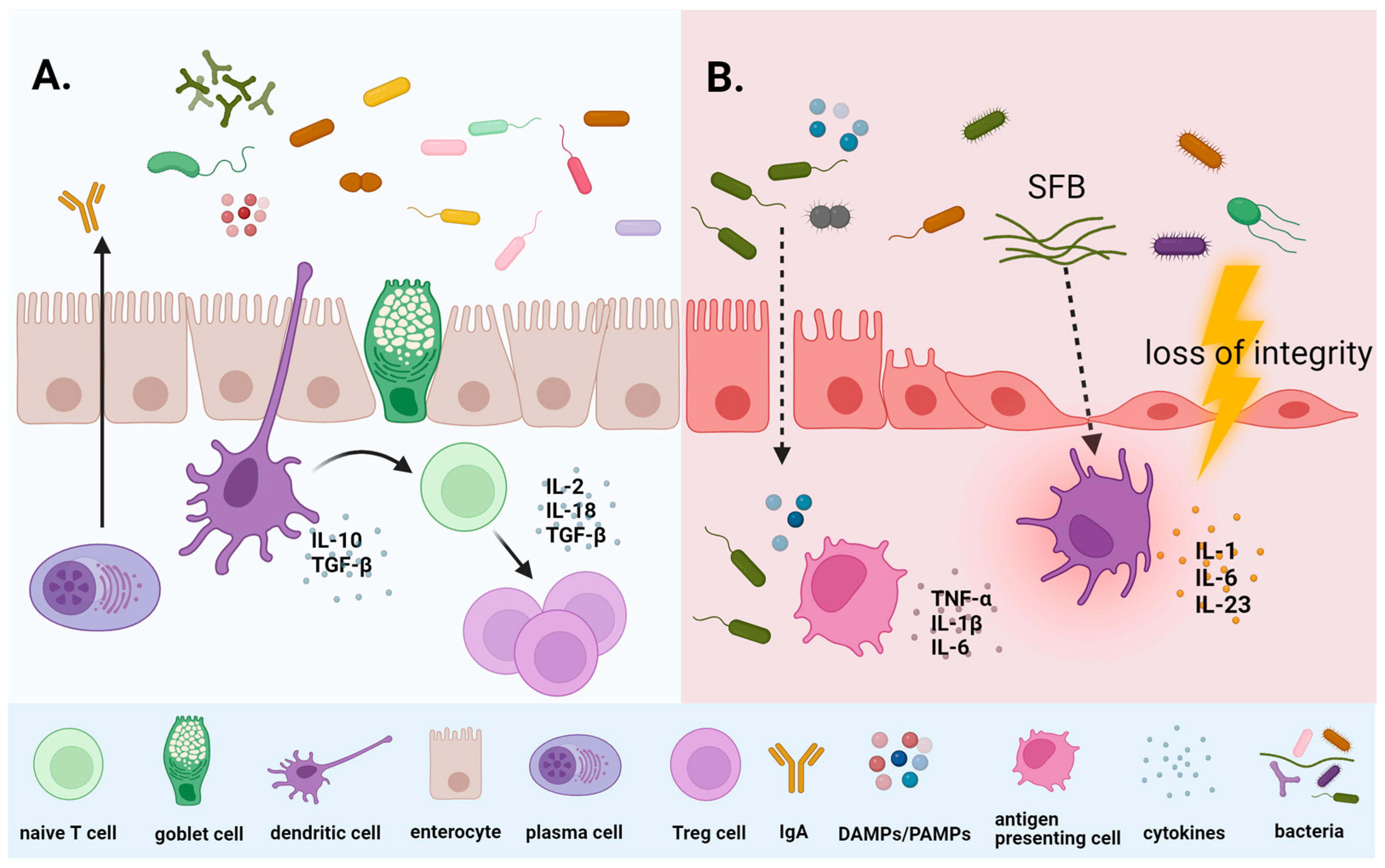 Microorganisms 12 00024 g001