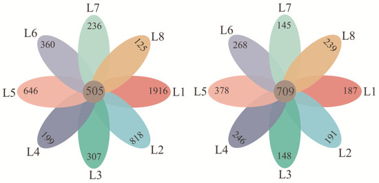 Bacterial and Microeukaryotic Community Compositions and