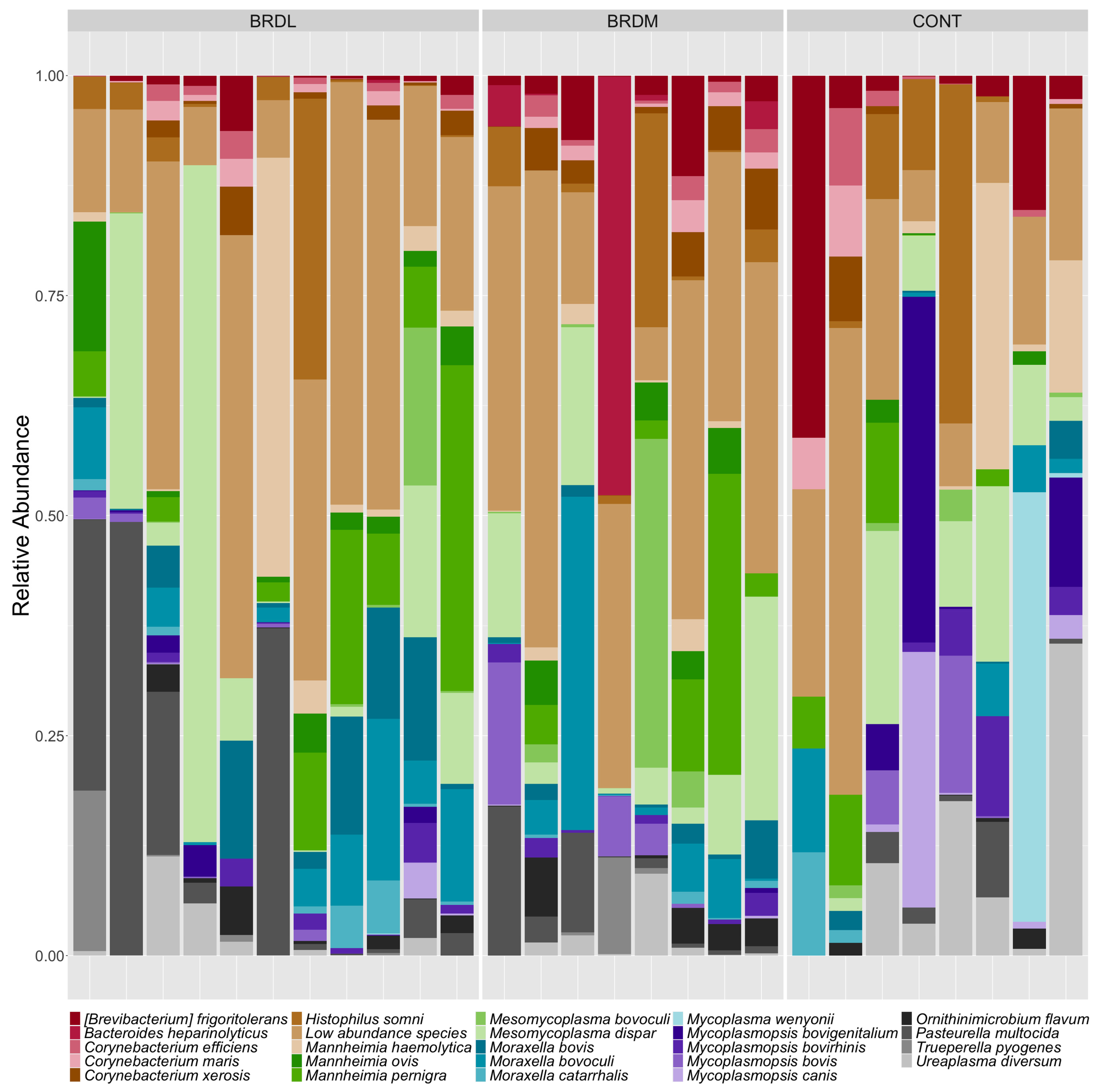 Microorganisms 12 00033 g002