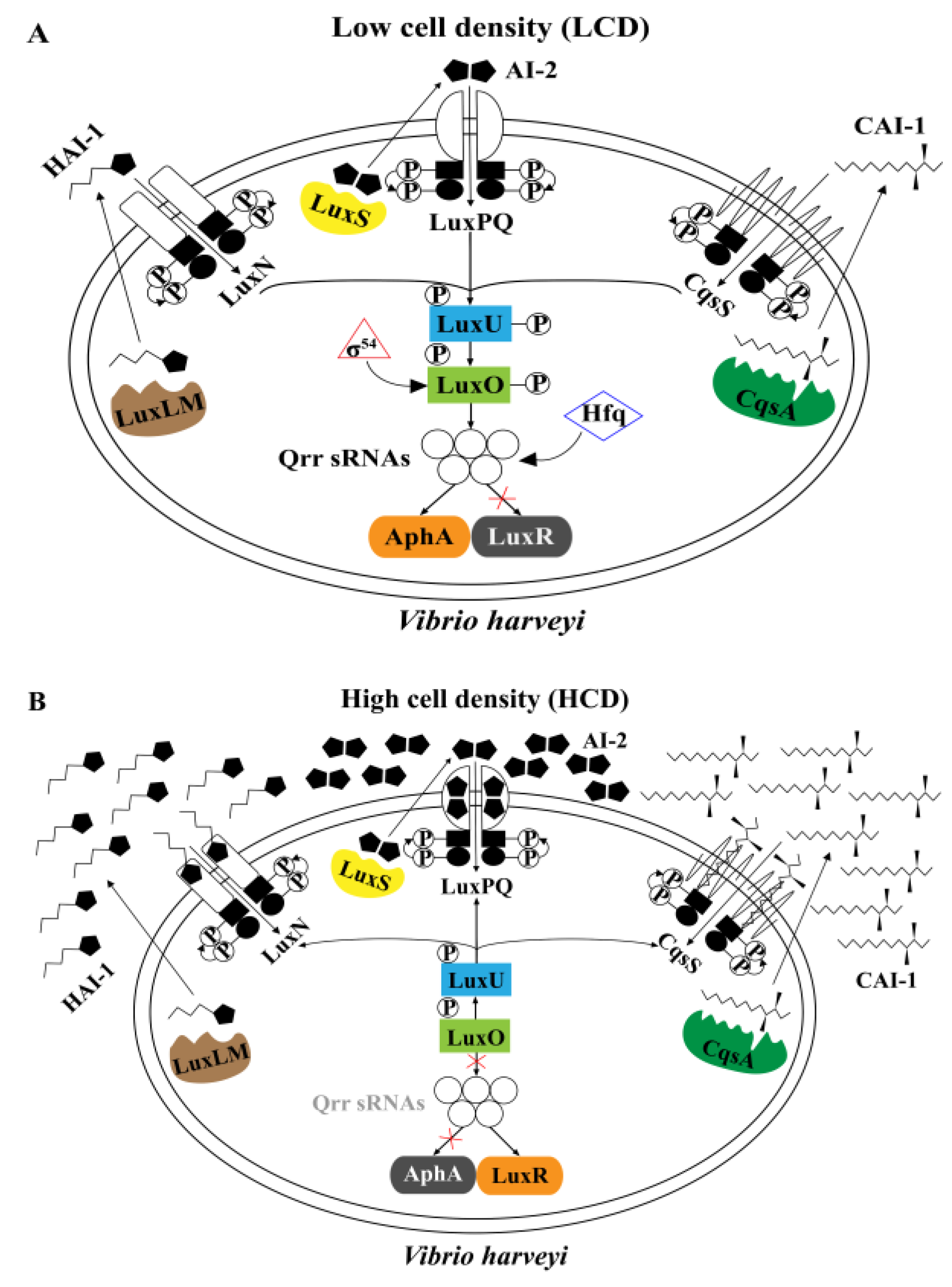 Microorganisms 12 00035 g001