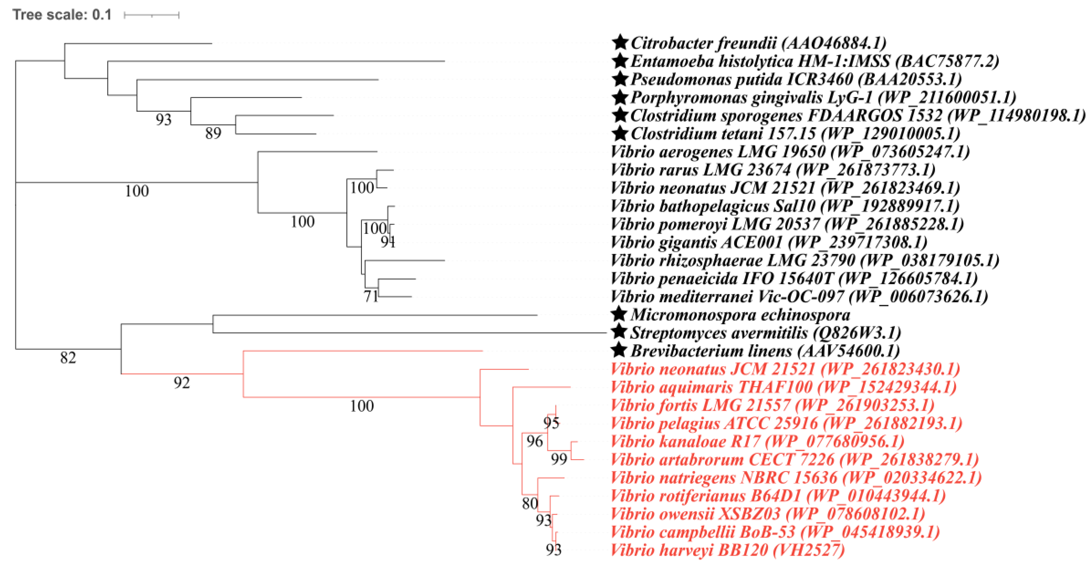 Microorganisms 12 00035 g003