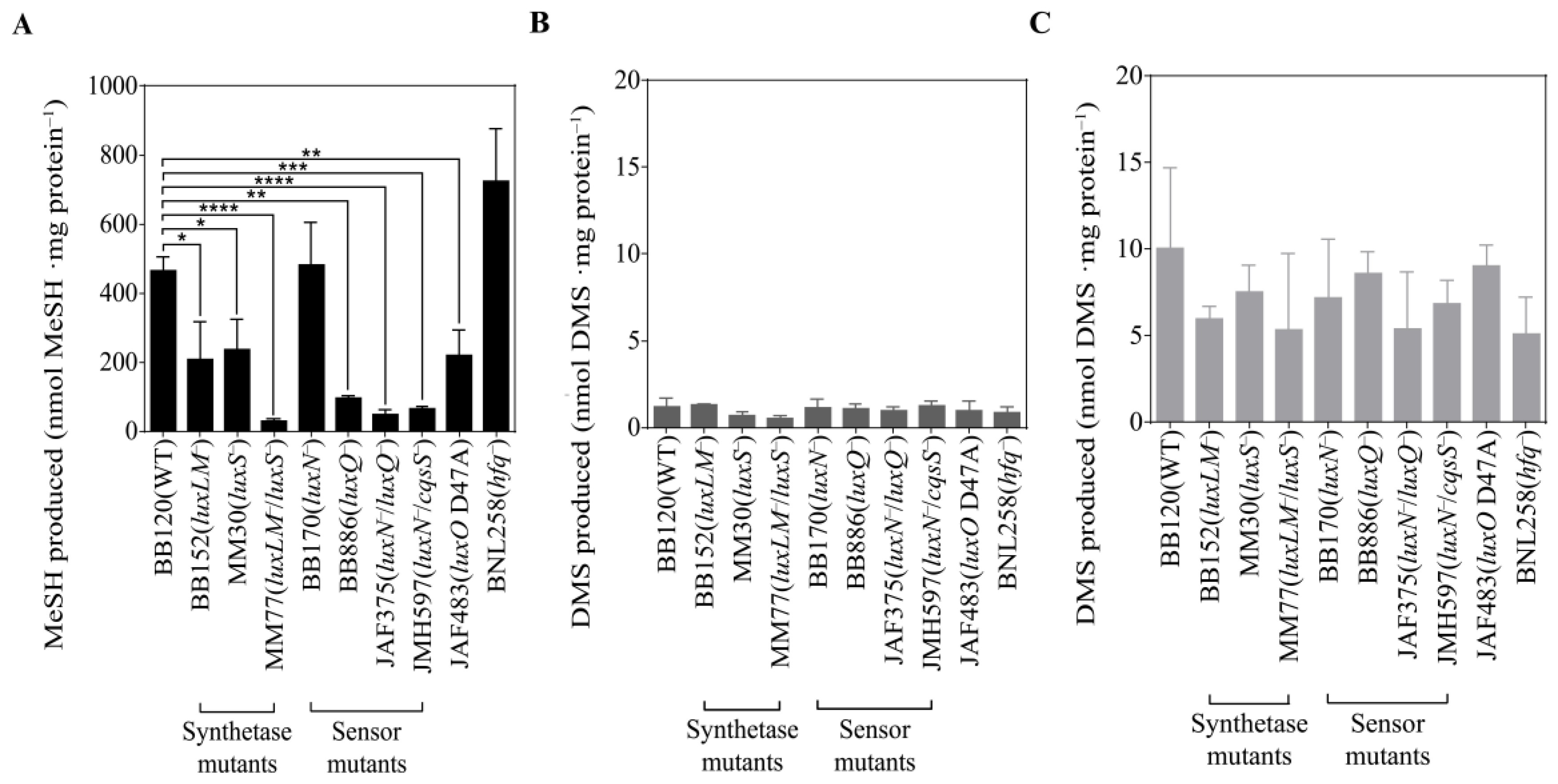 Microorganisms 12 00035 g004