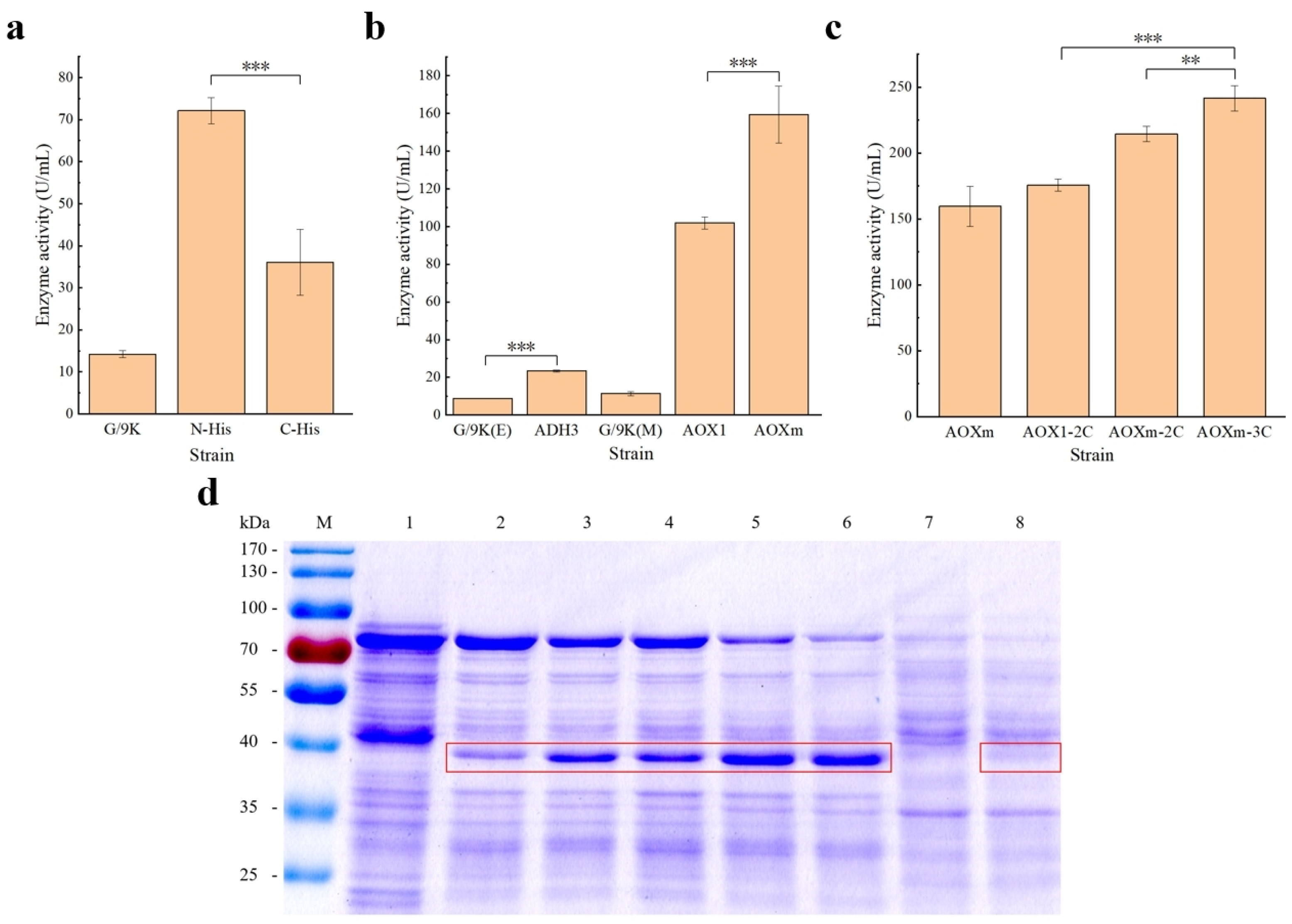 Microorganisms 12 00038 g002