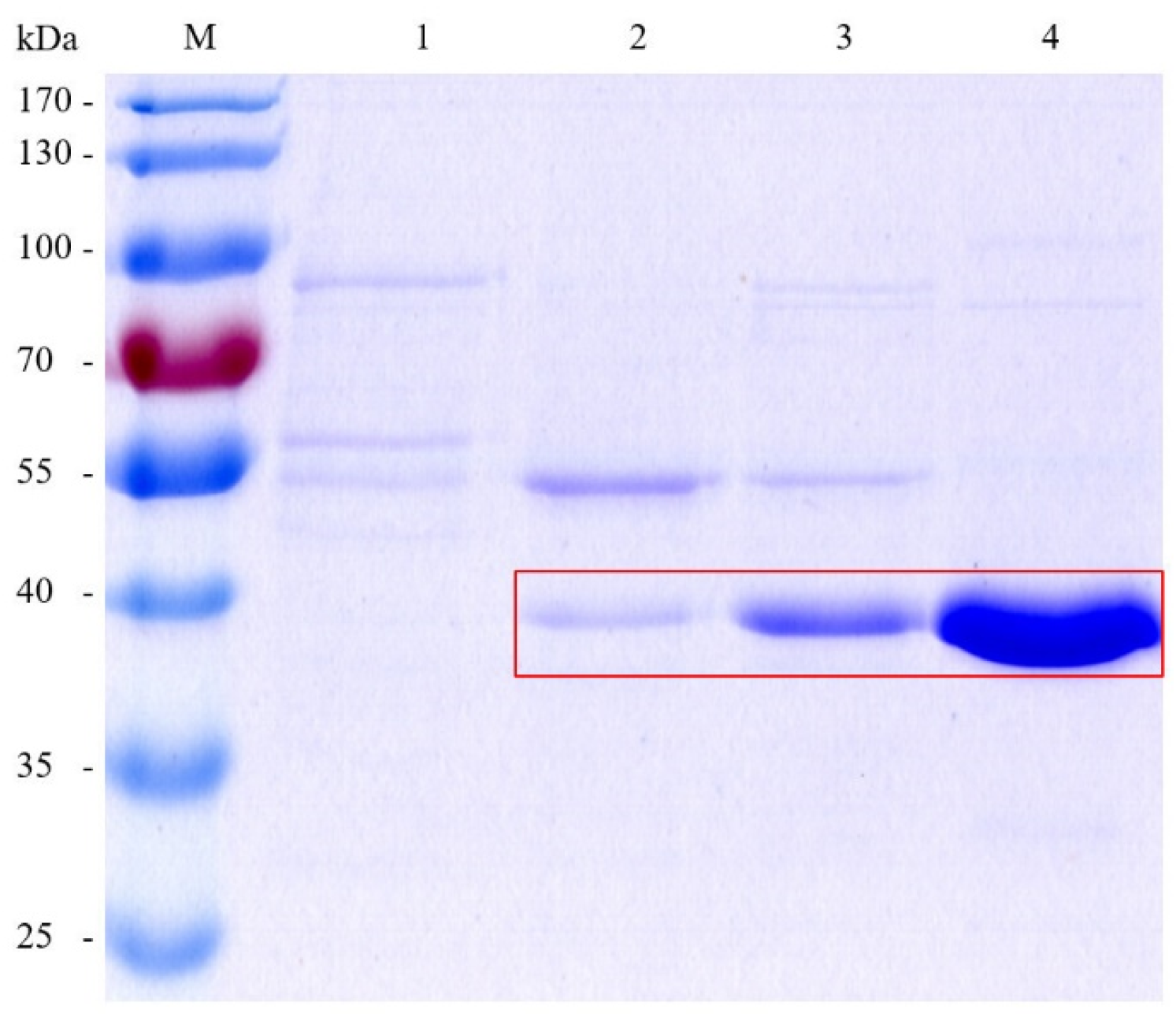 Microorganisms 12 00038 g004