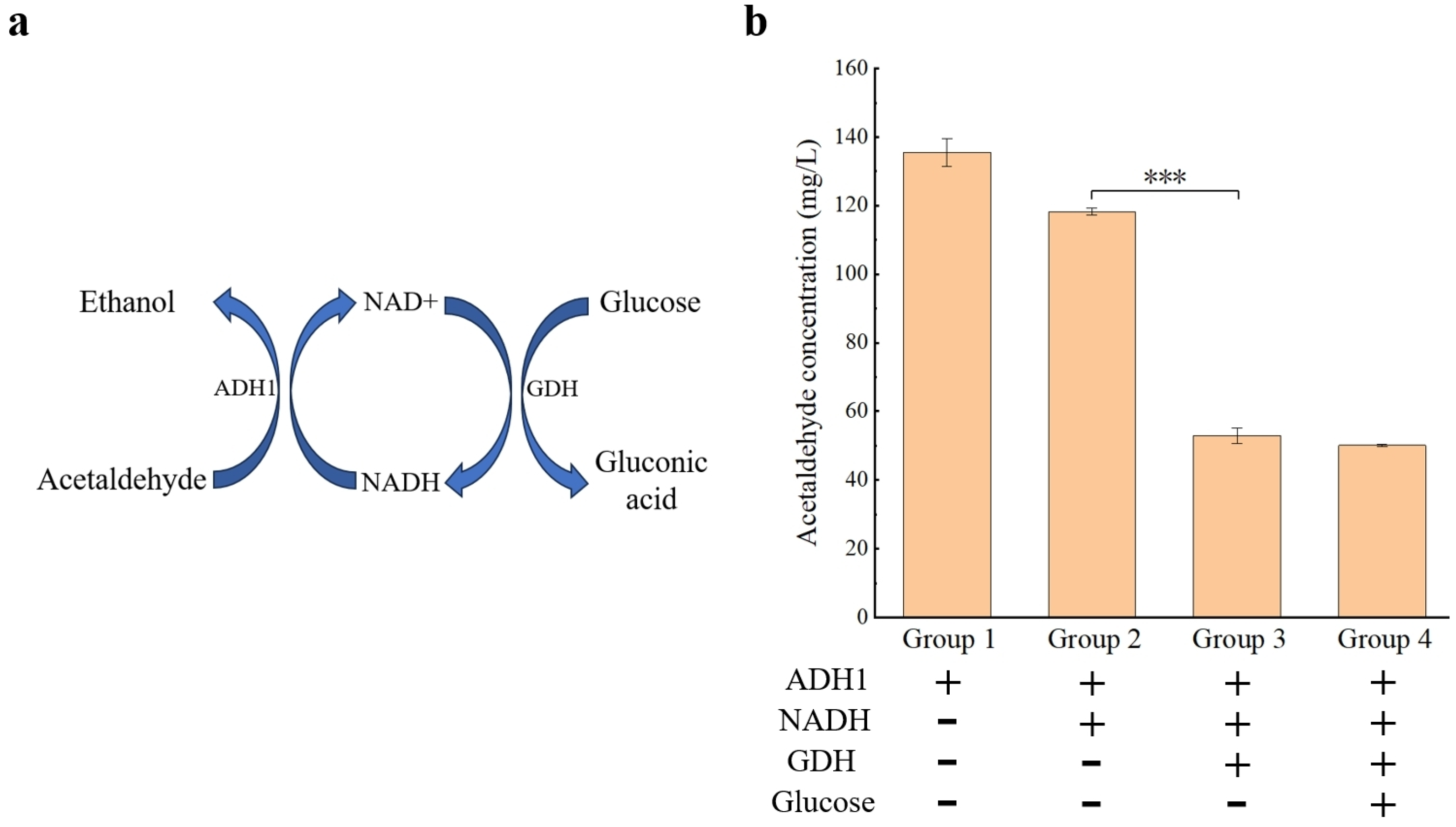 Microorganisms 12 00038 g006