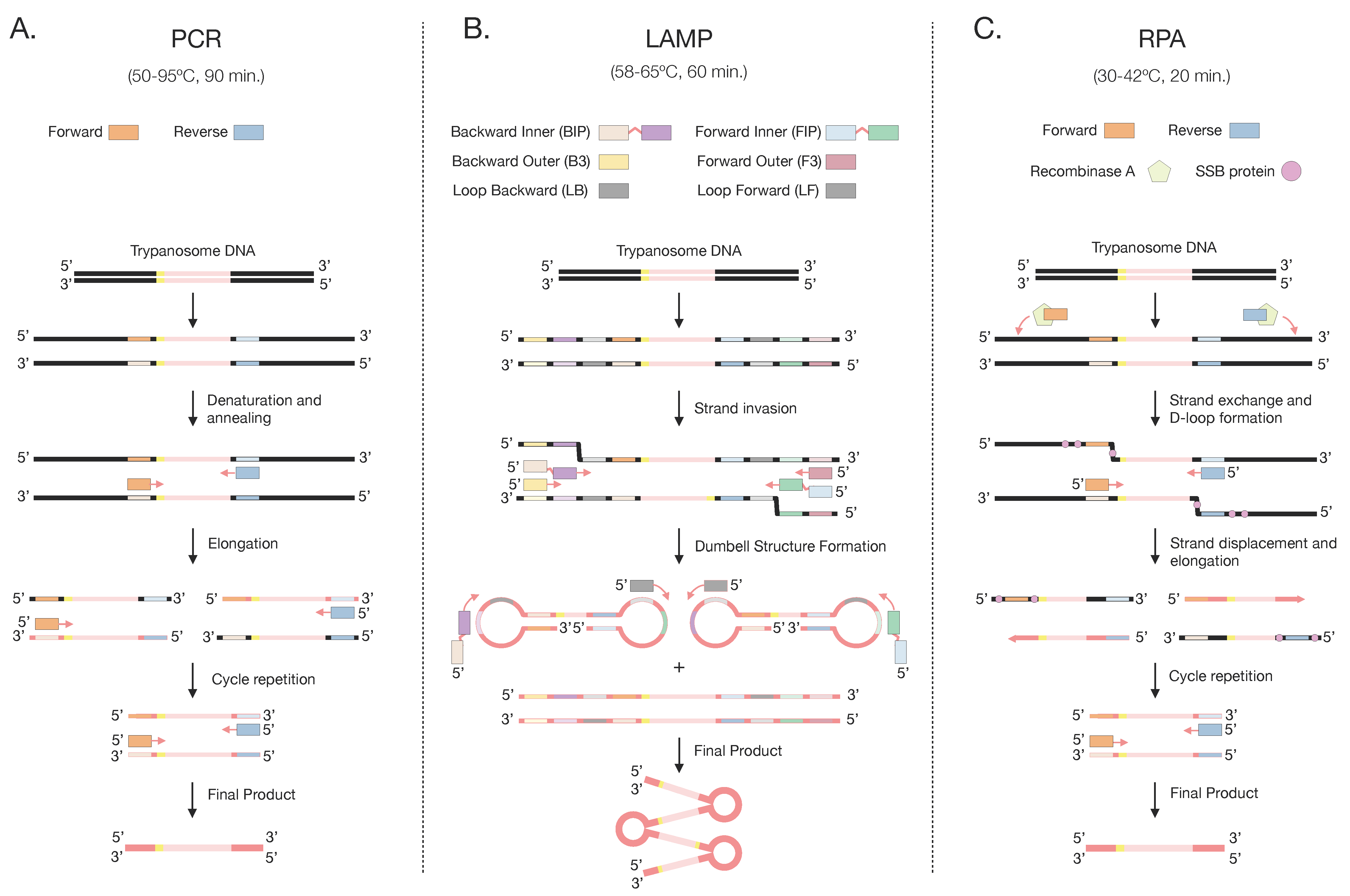 Microorganisms 12 00044 g002