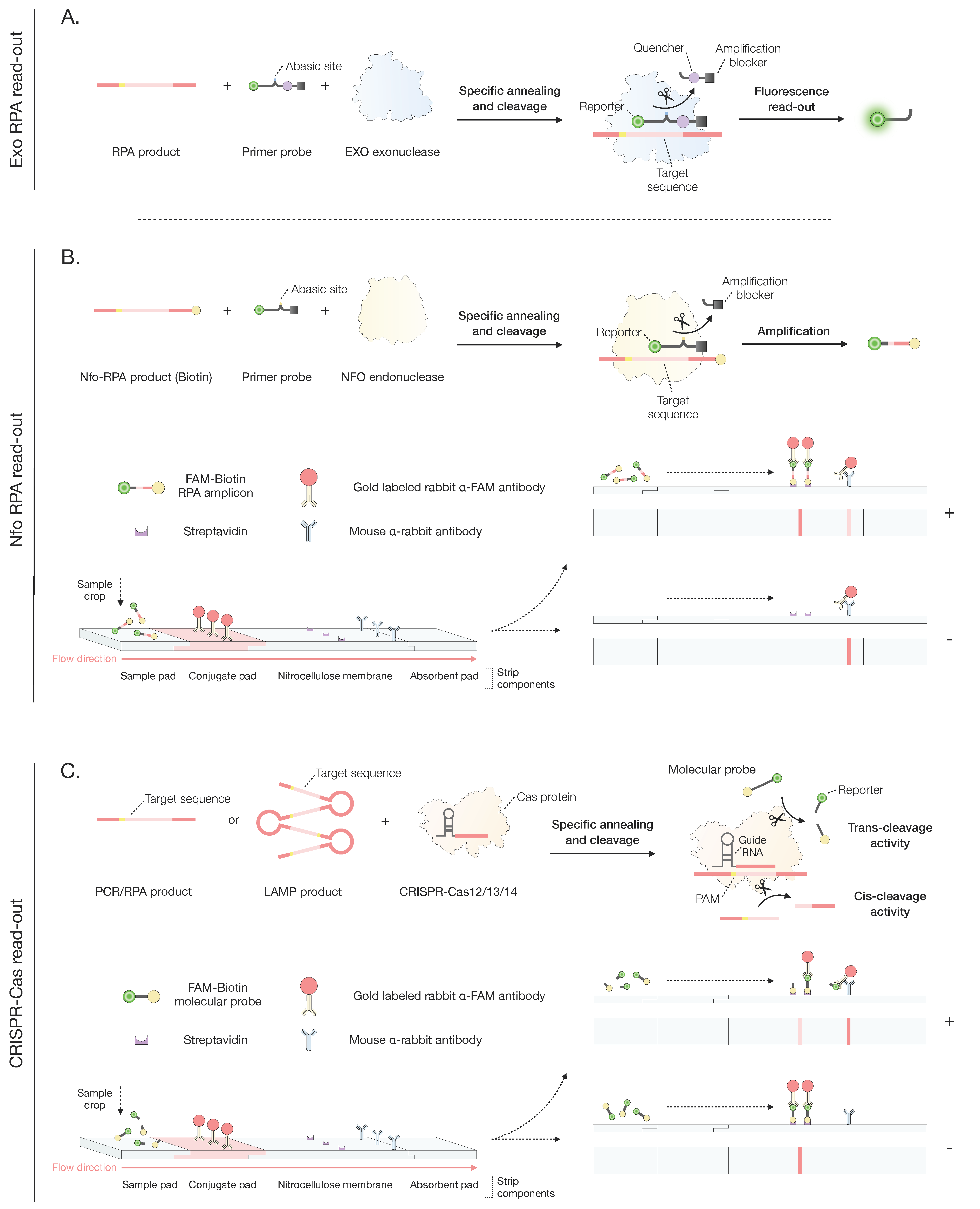 Microorganisms 12 00044 g003