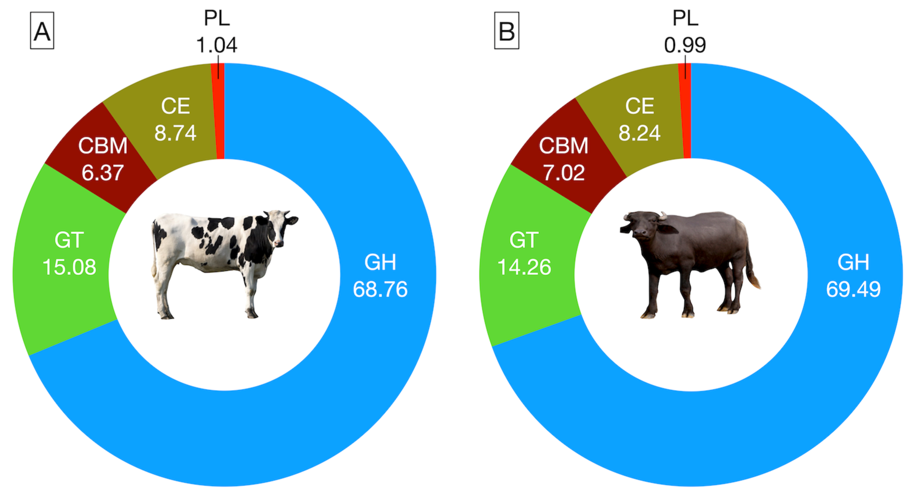 Microorganisms 12 00047 g003 Microorganisms 12 00047 g003