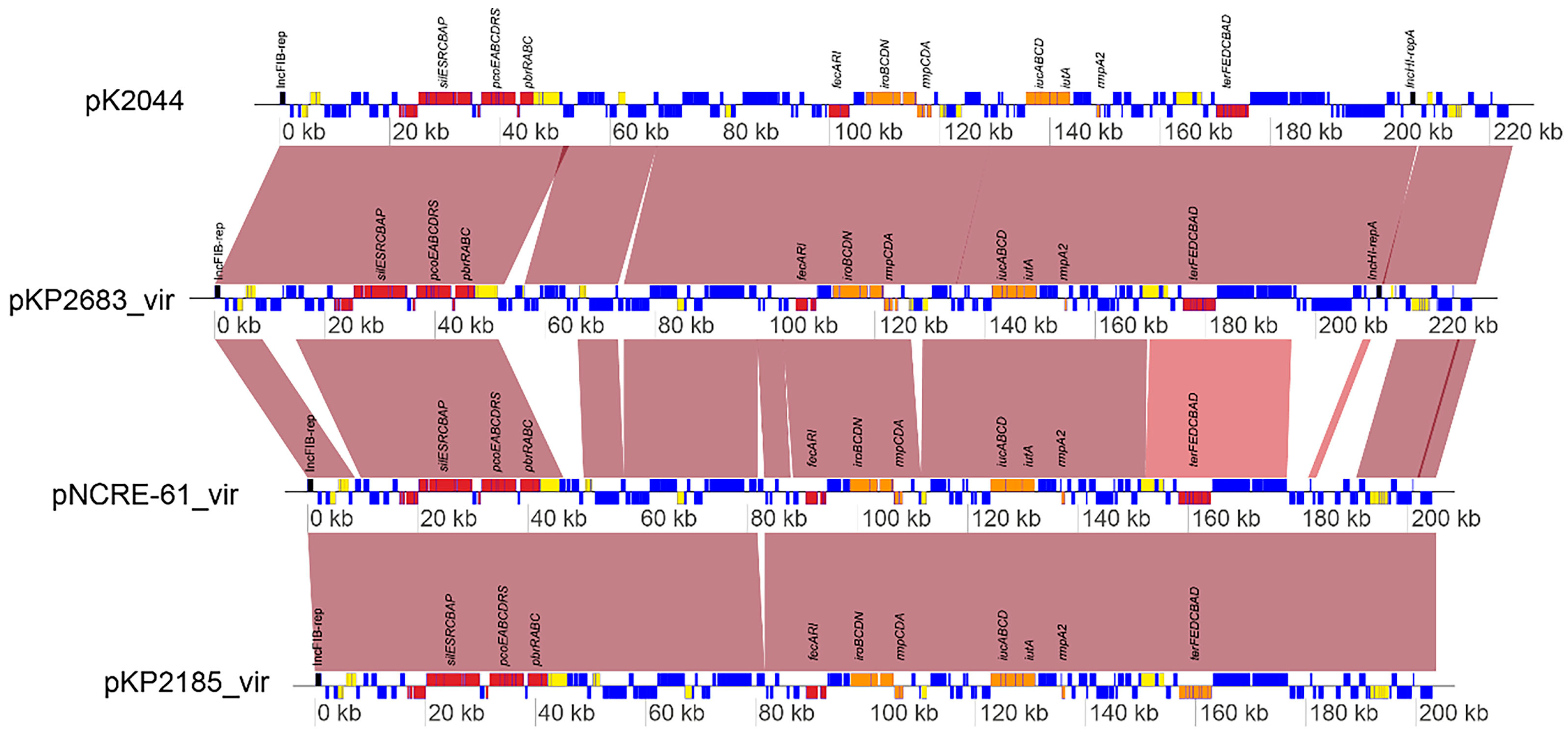 Microorganisms 12 00049 g002