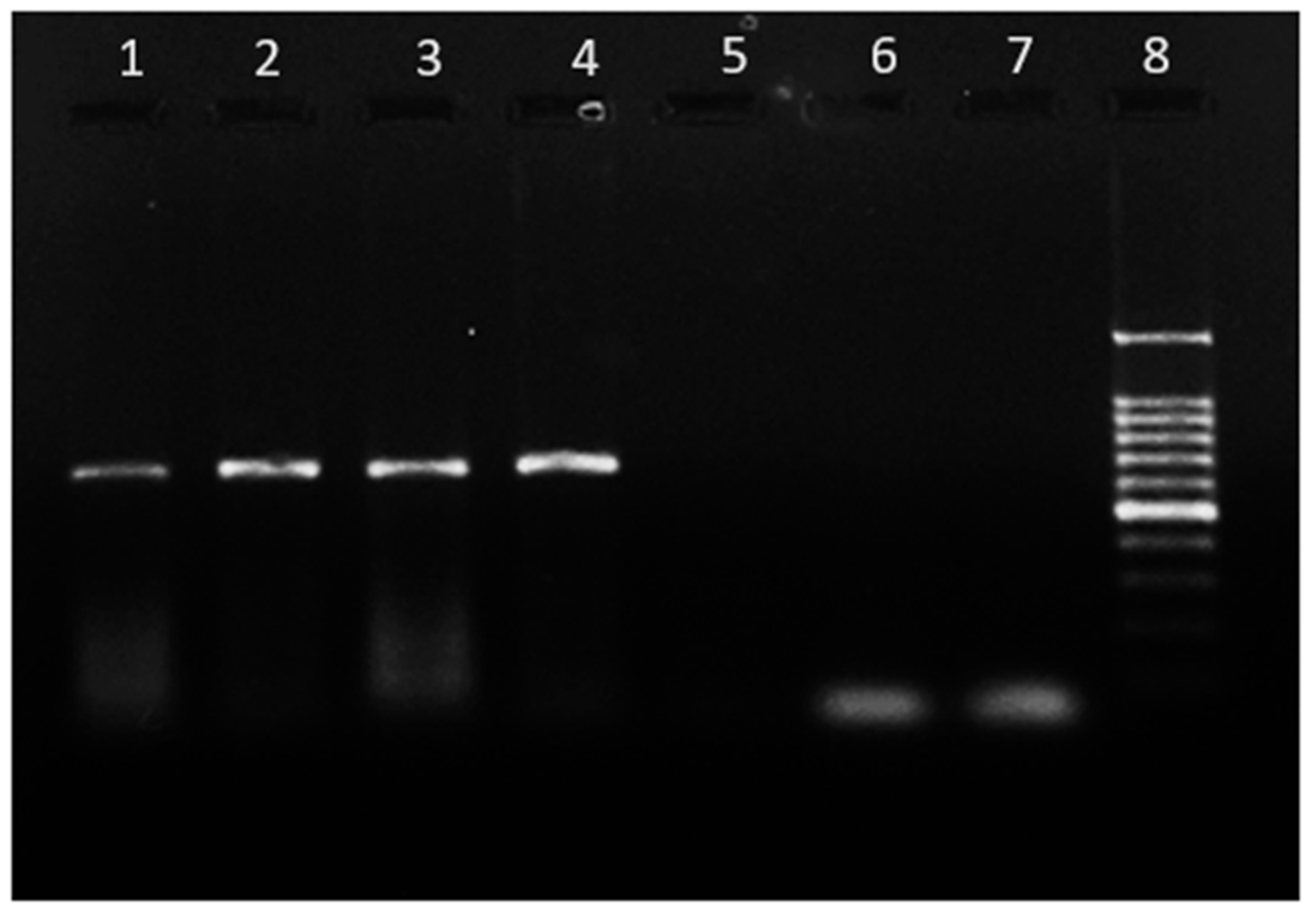 Microorganisms 12 00052 g002