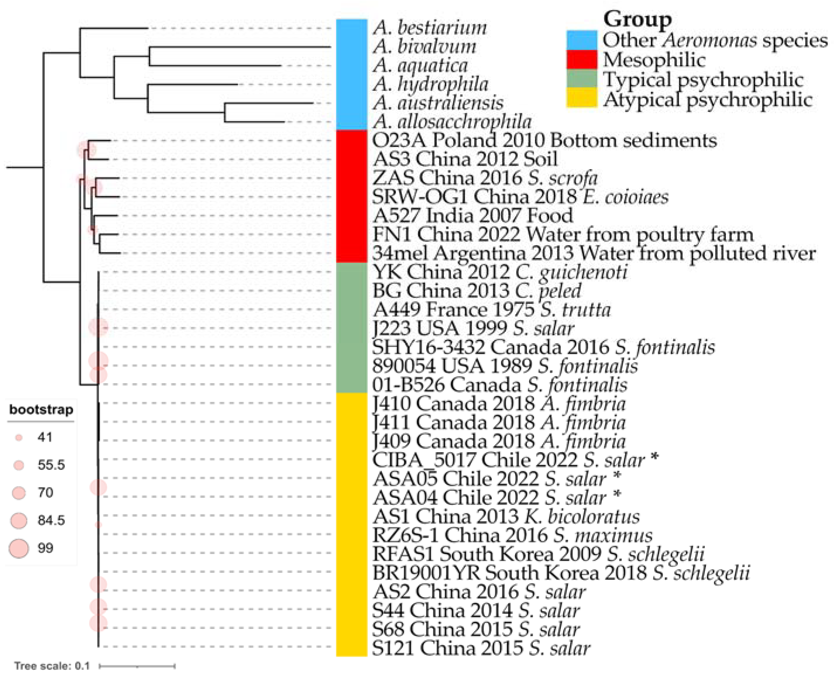 Microorganisms 12 00064 g005