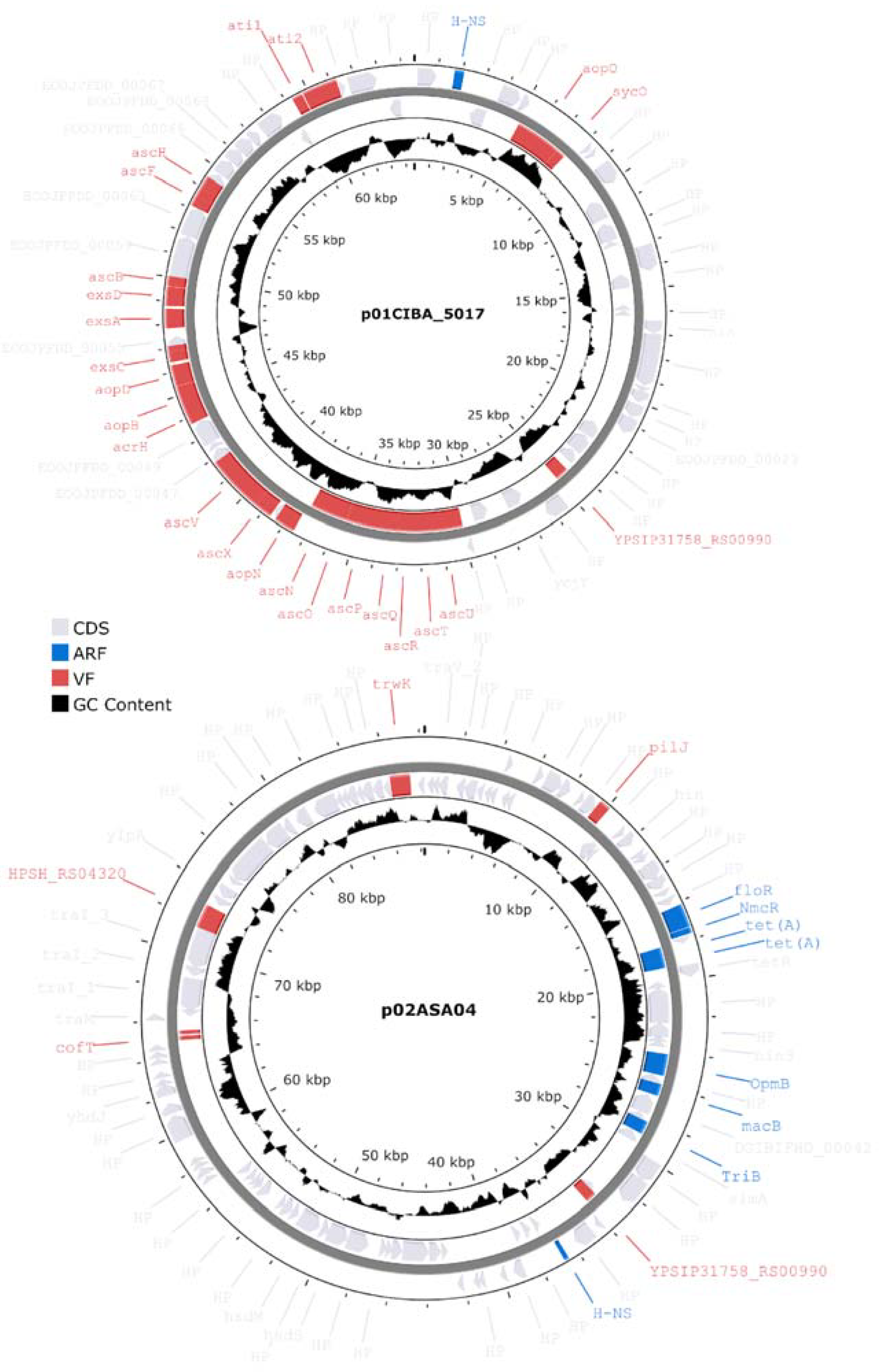 Microorganisms 12 00064 g009