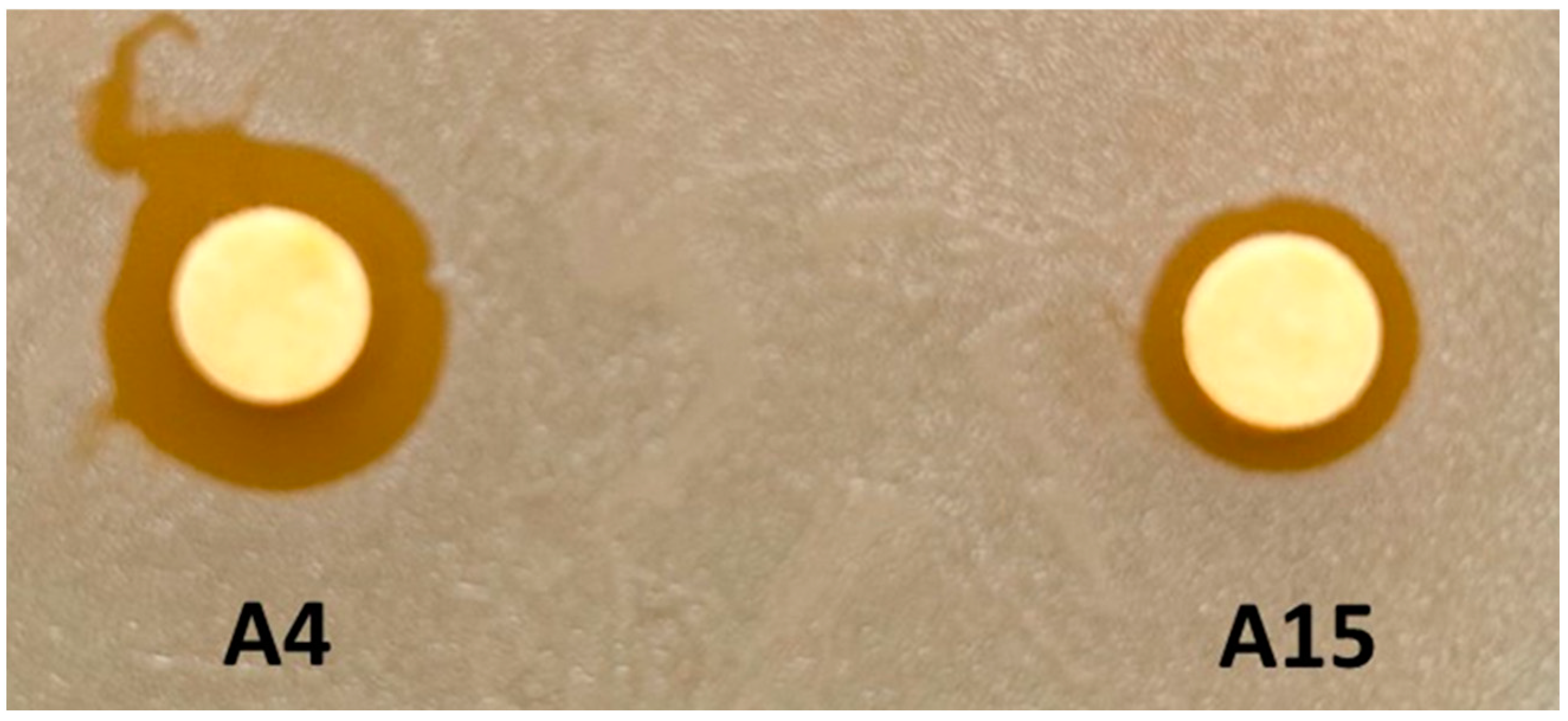 Microorganisms 12 00070 g002