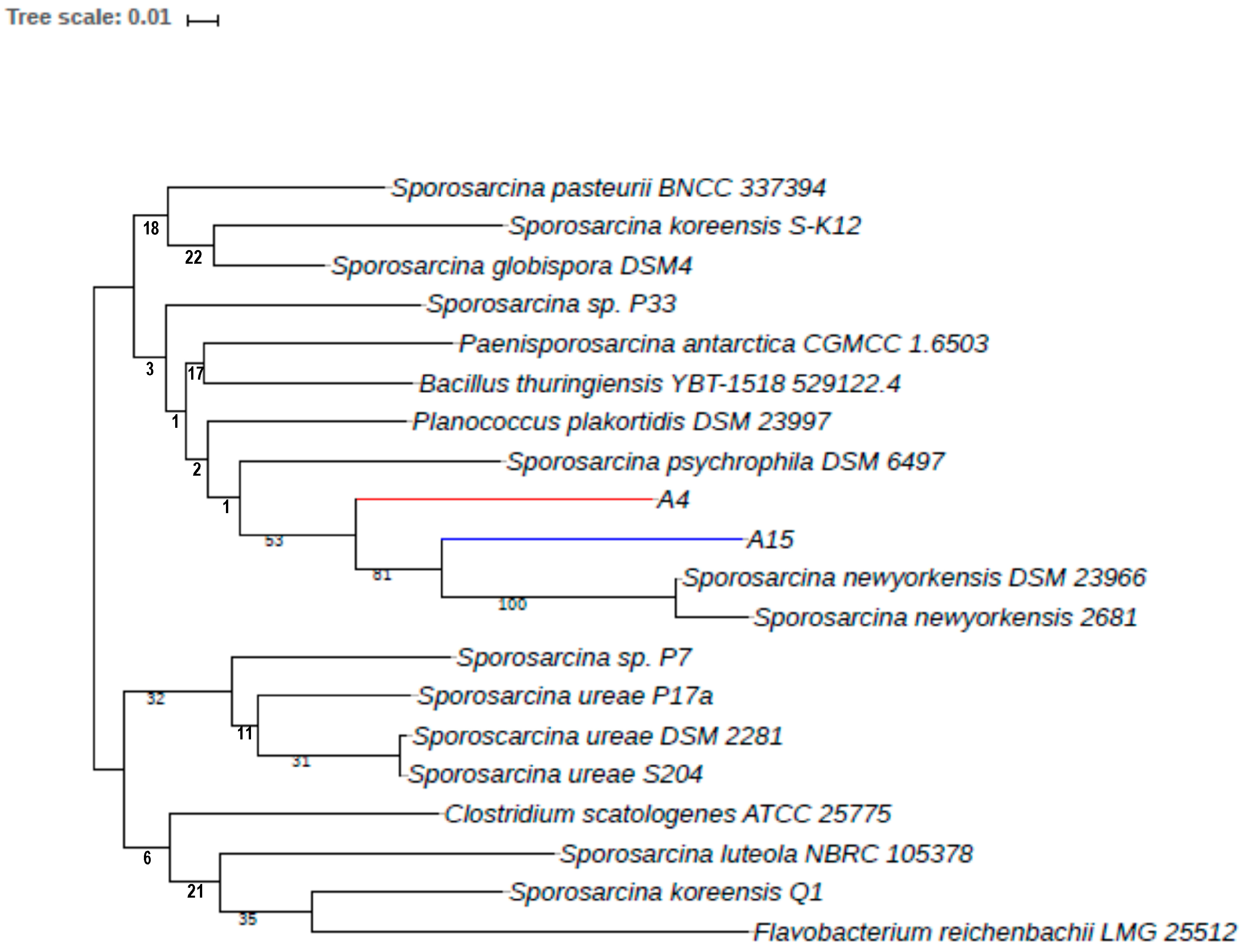 Microorganisms 12 00070 g003