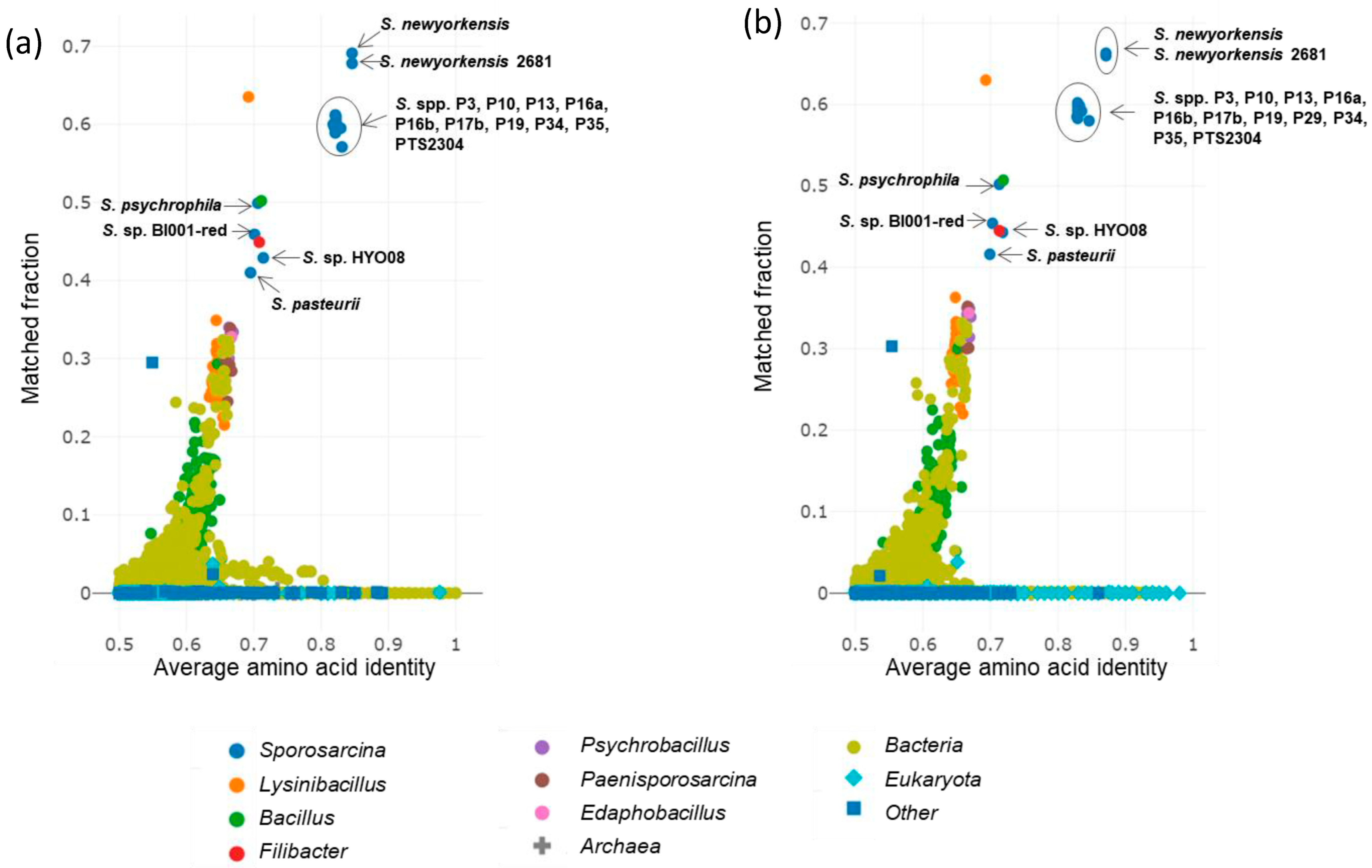 Microorganisms 12 00070 g004