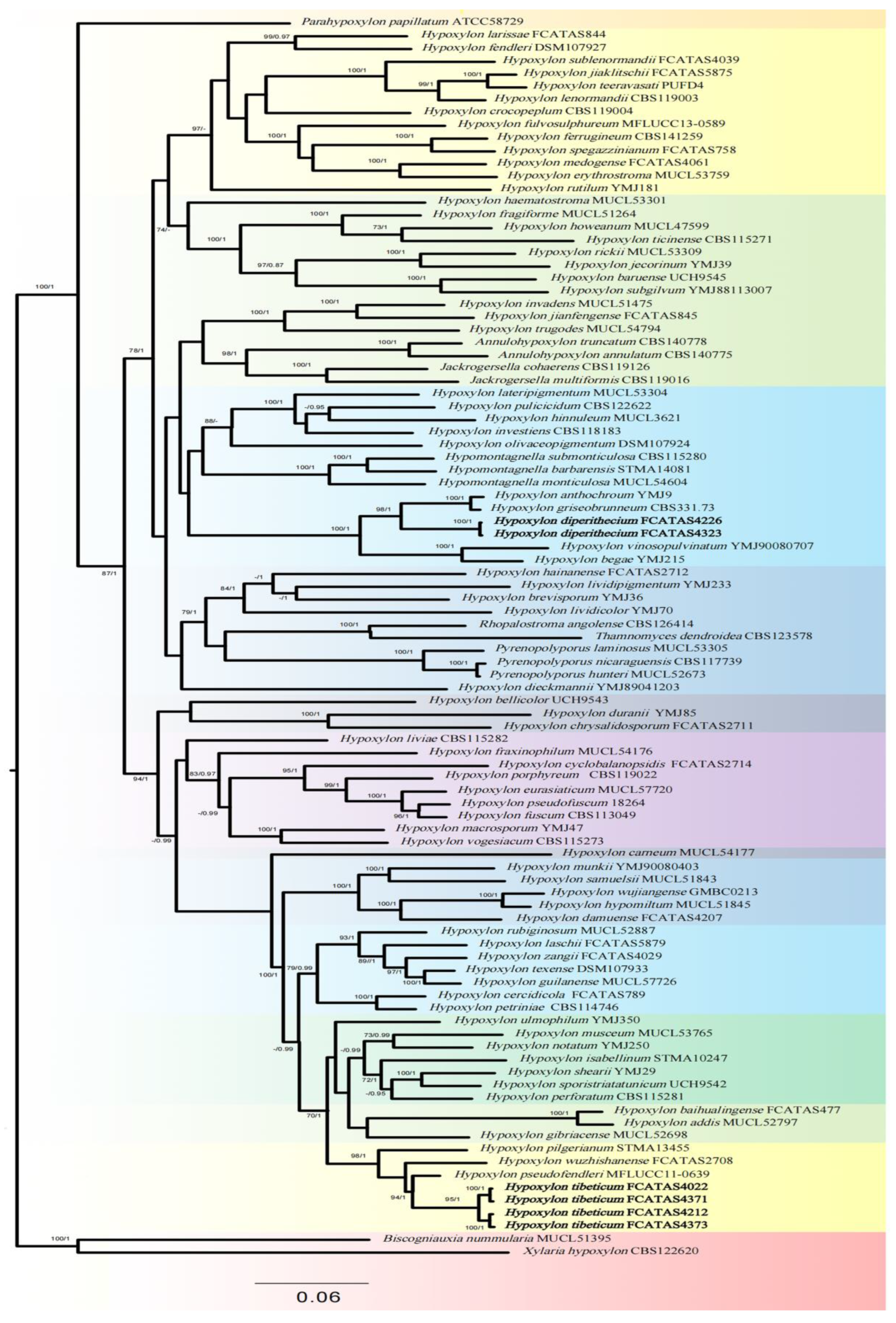 Microorganisms 12 00072 g001
