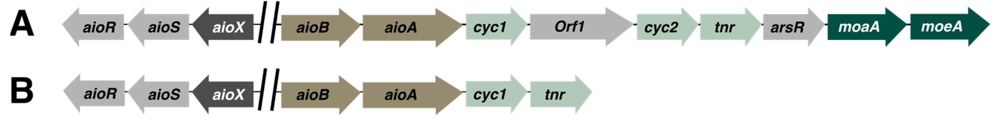Microorganisms 12 00074 g002 Microorganisms 12 00074 g002