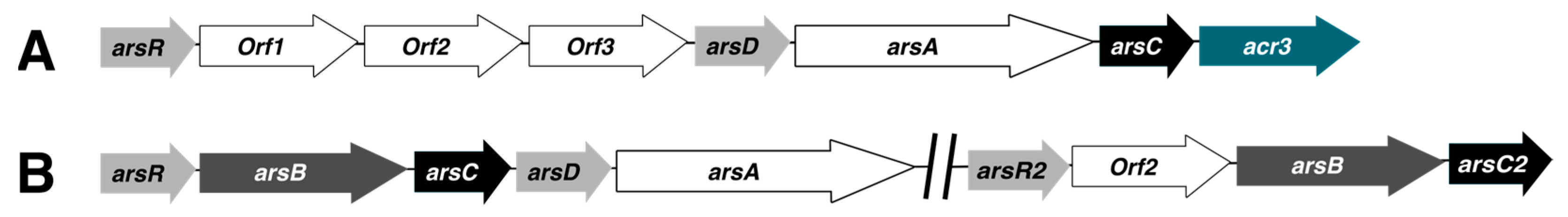 Microorganisms 12 00074 g003 Microorganisms 12 00074 g003