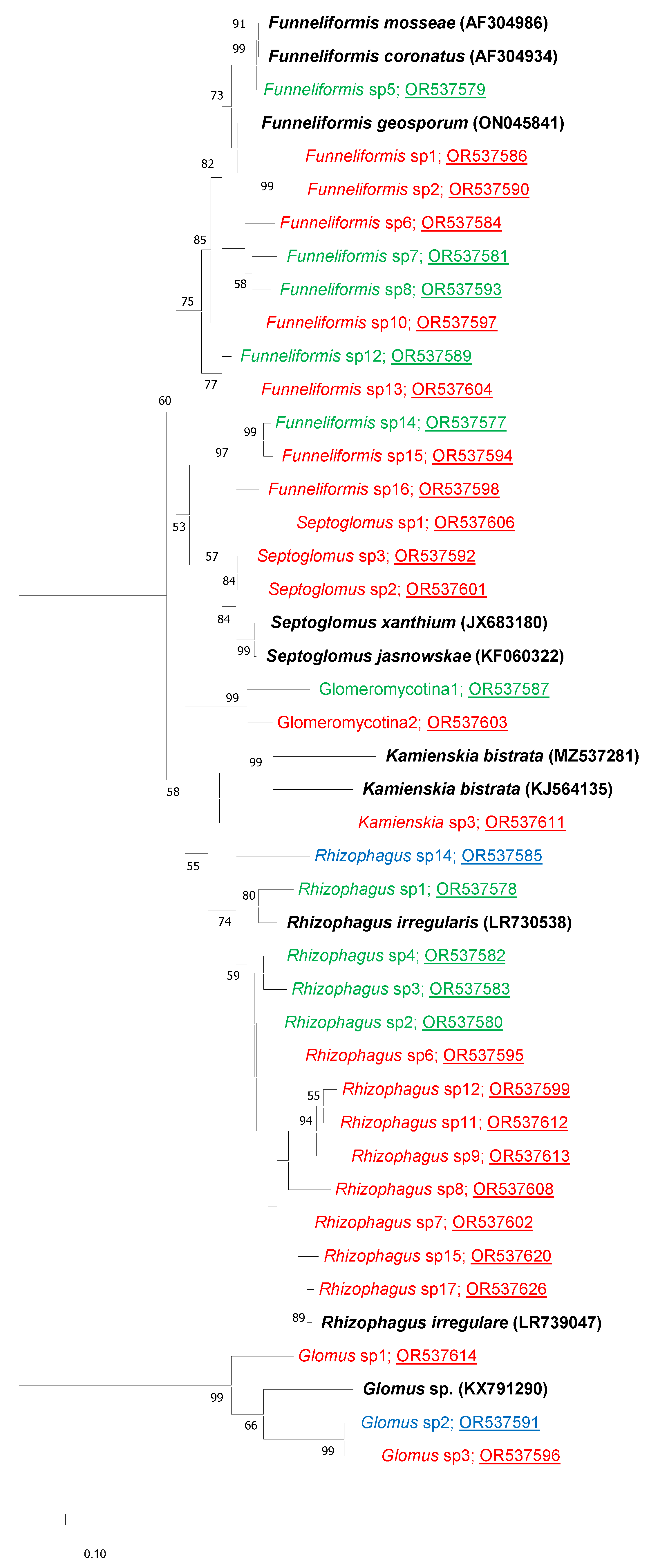 Microorganisms 12 00075 g002