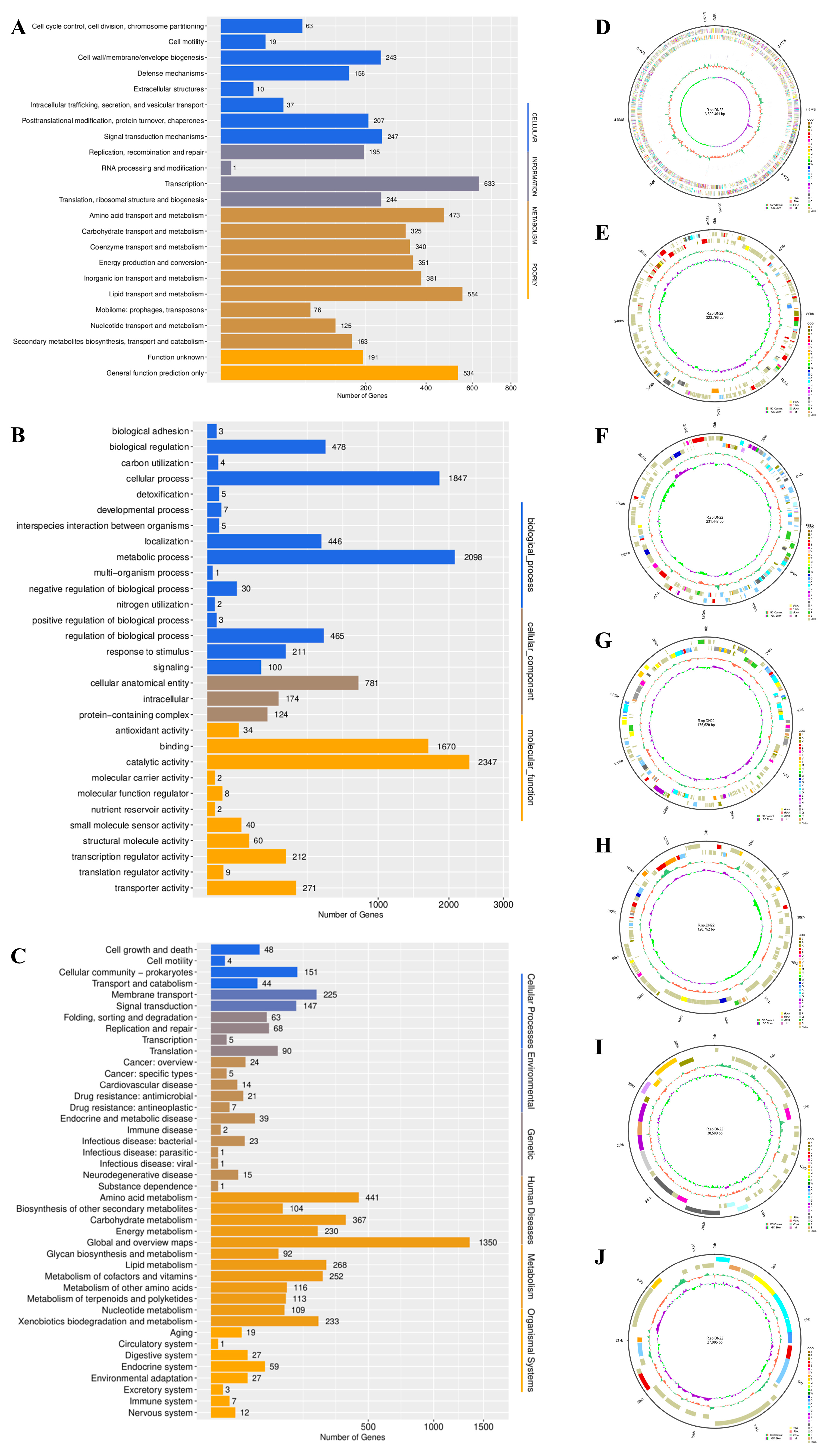 Microorganisms 12 00076 g001