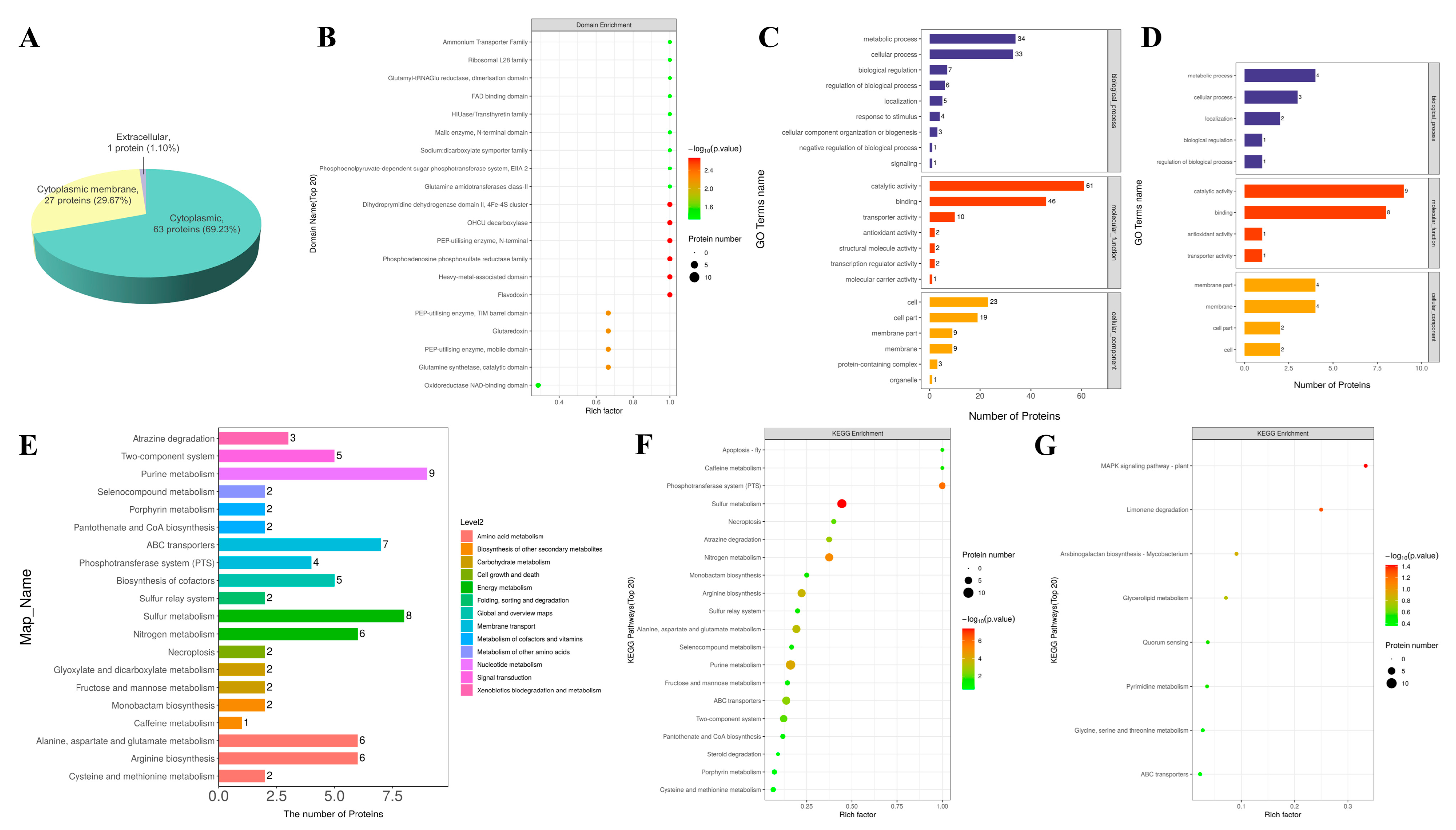 Microorganisms 12 00076 g004
