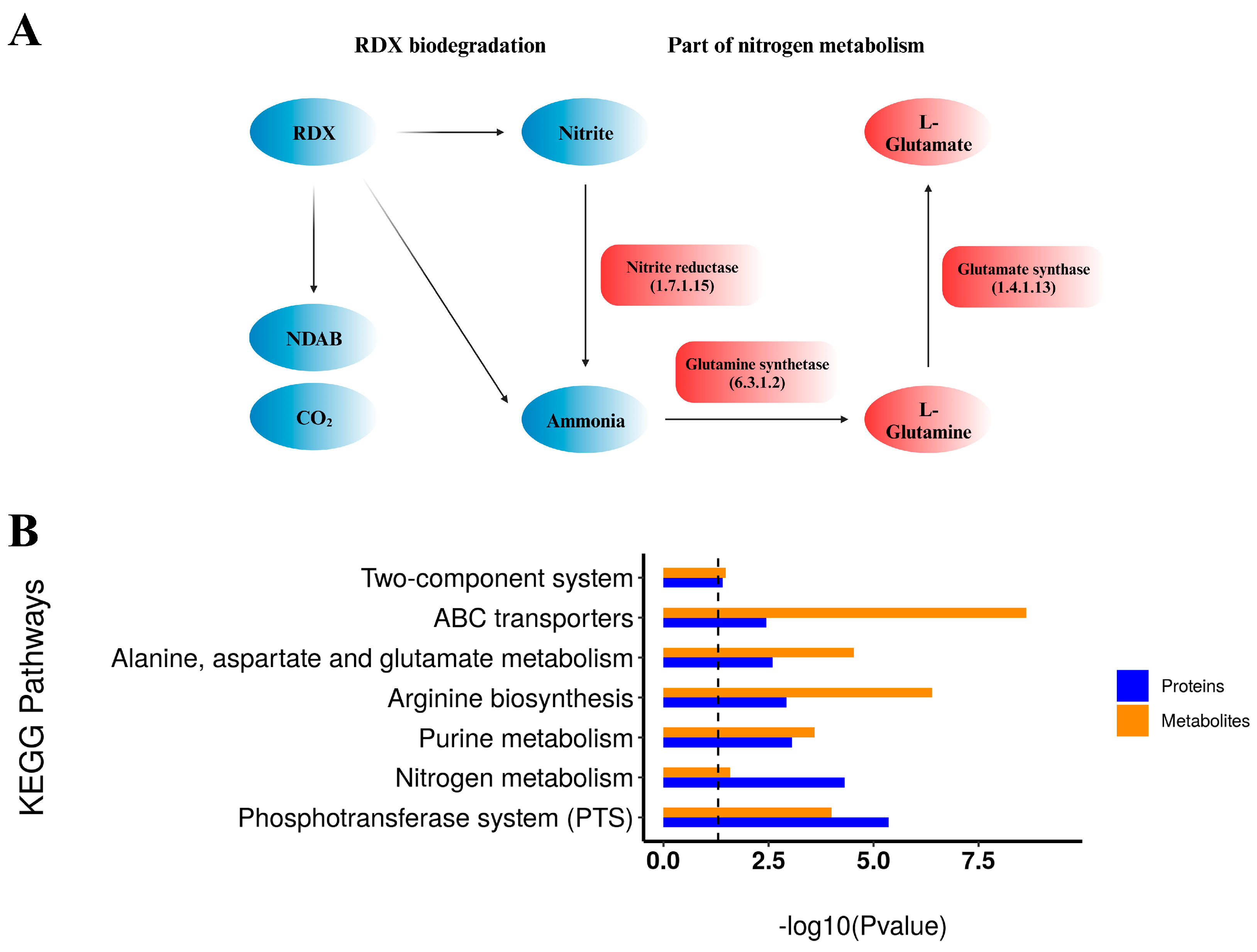 Microorganisms 12 00076 g007