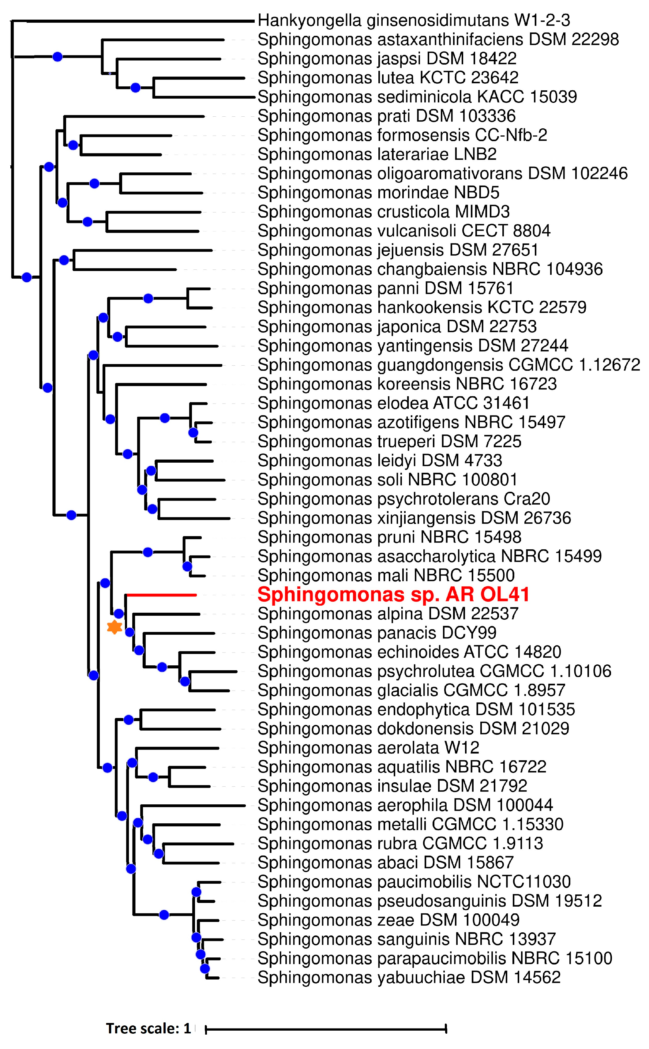 Microorganisms 12 00079 g004 Microorganisms 12 00079 g004