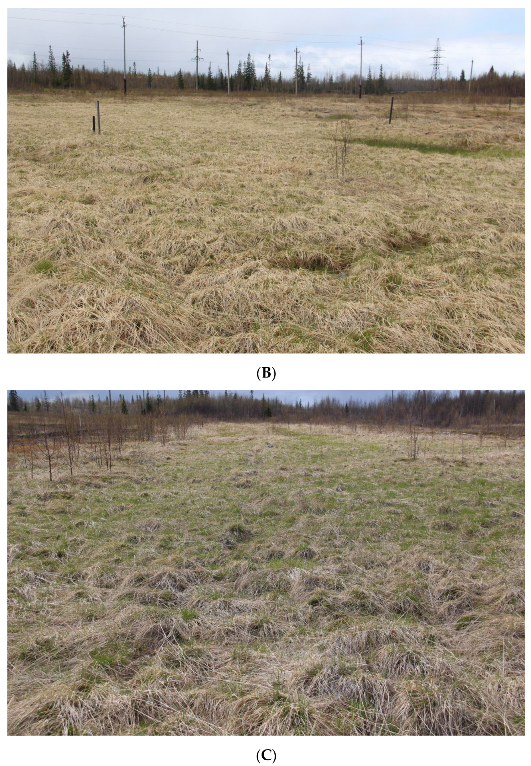 Microorganisms 12 00080 g002b