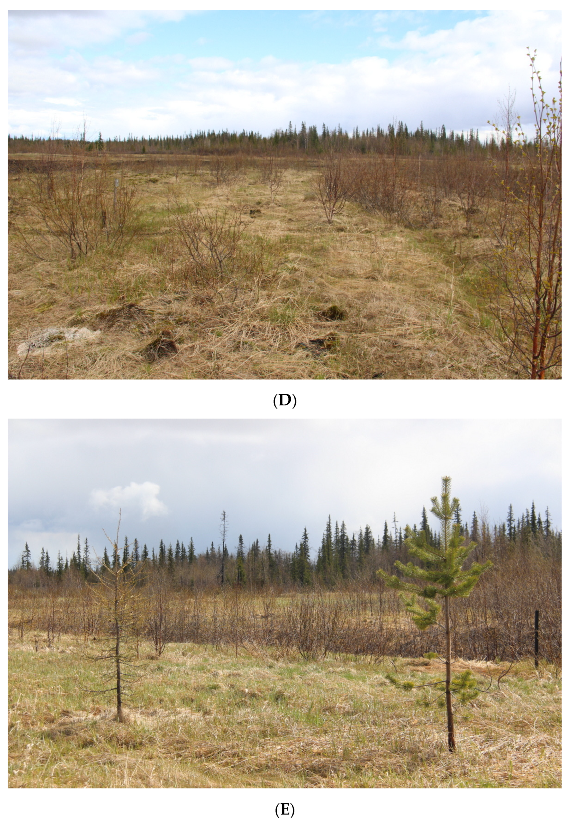 Microorganisms 12 00080 g002c