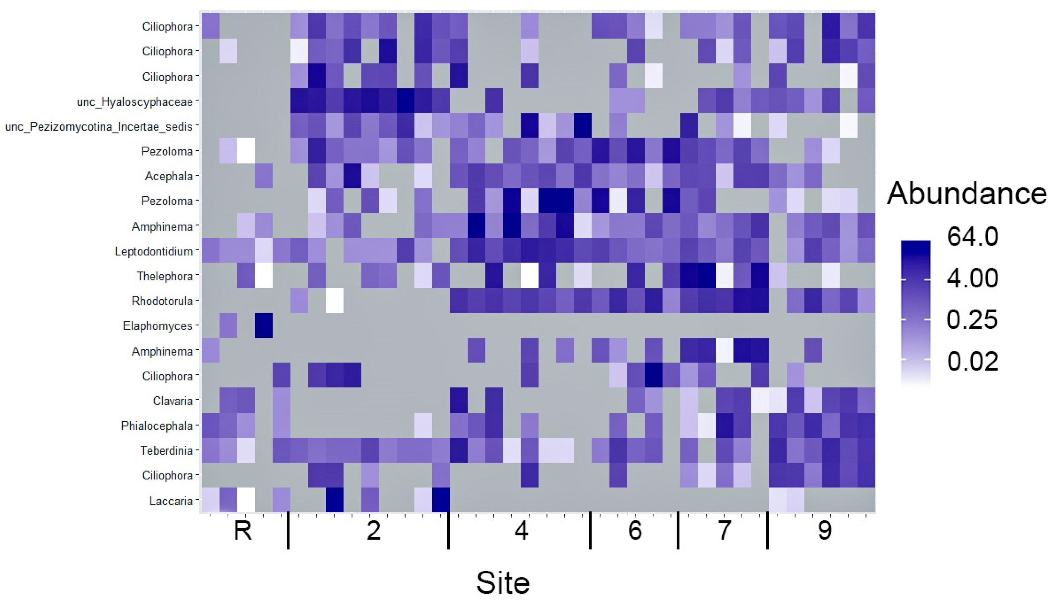 Microorganisms 12 00080 g011