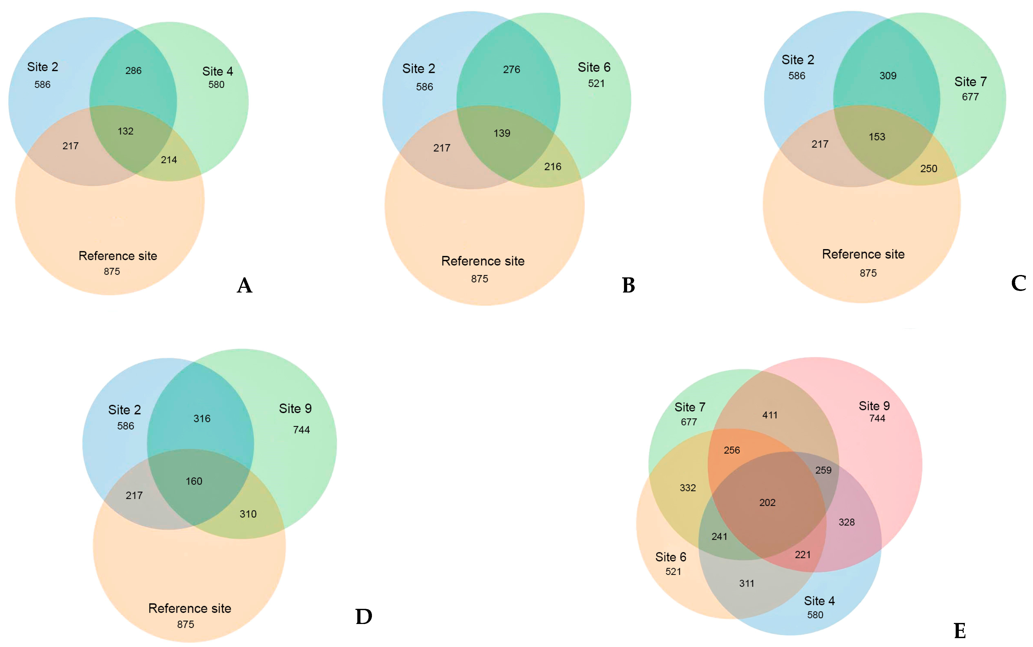 Microorganisms 12 00080 g012