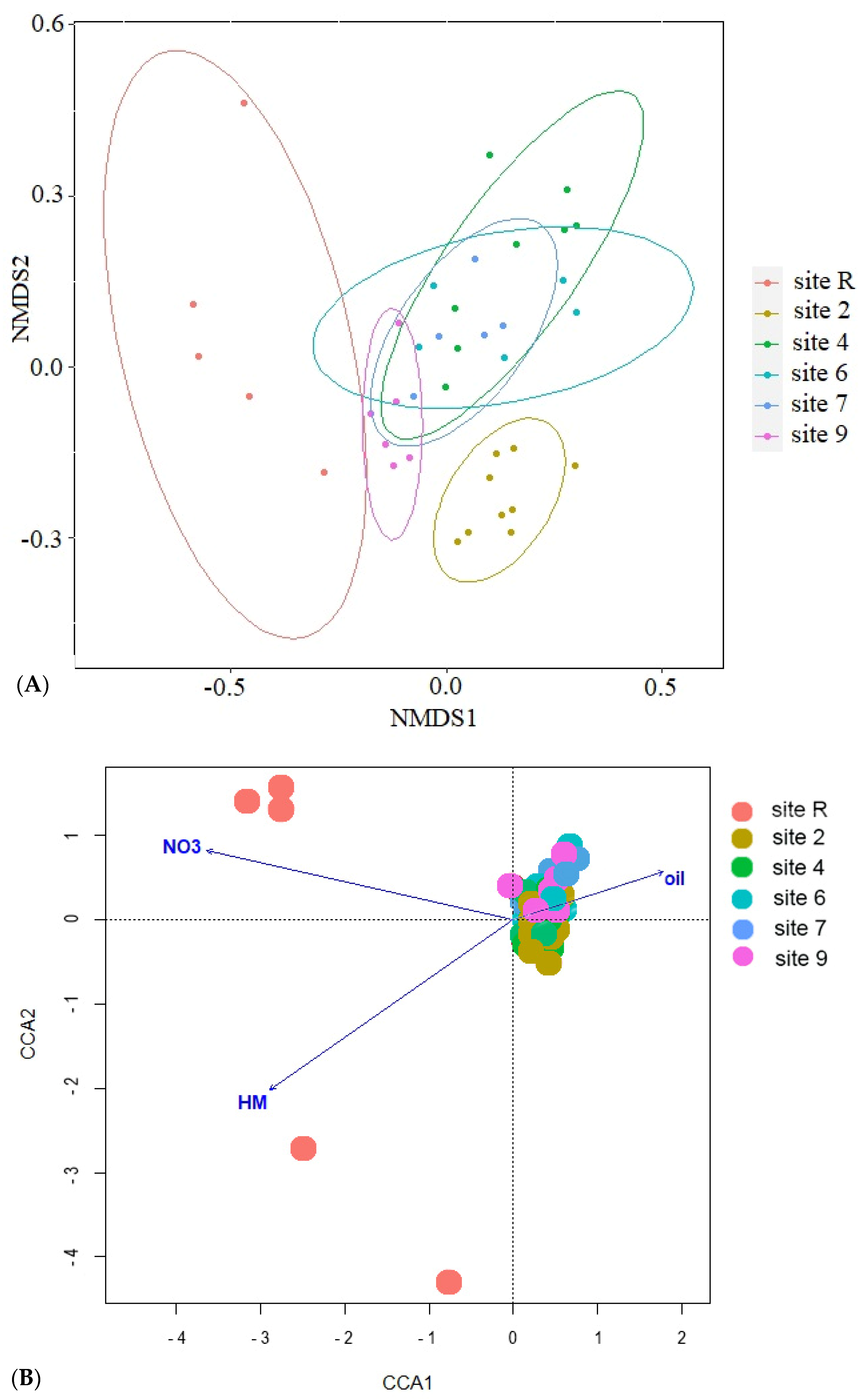 Microorganisms 12 00080 g013a