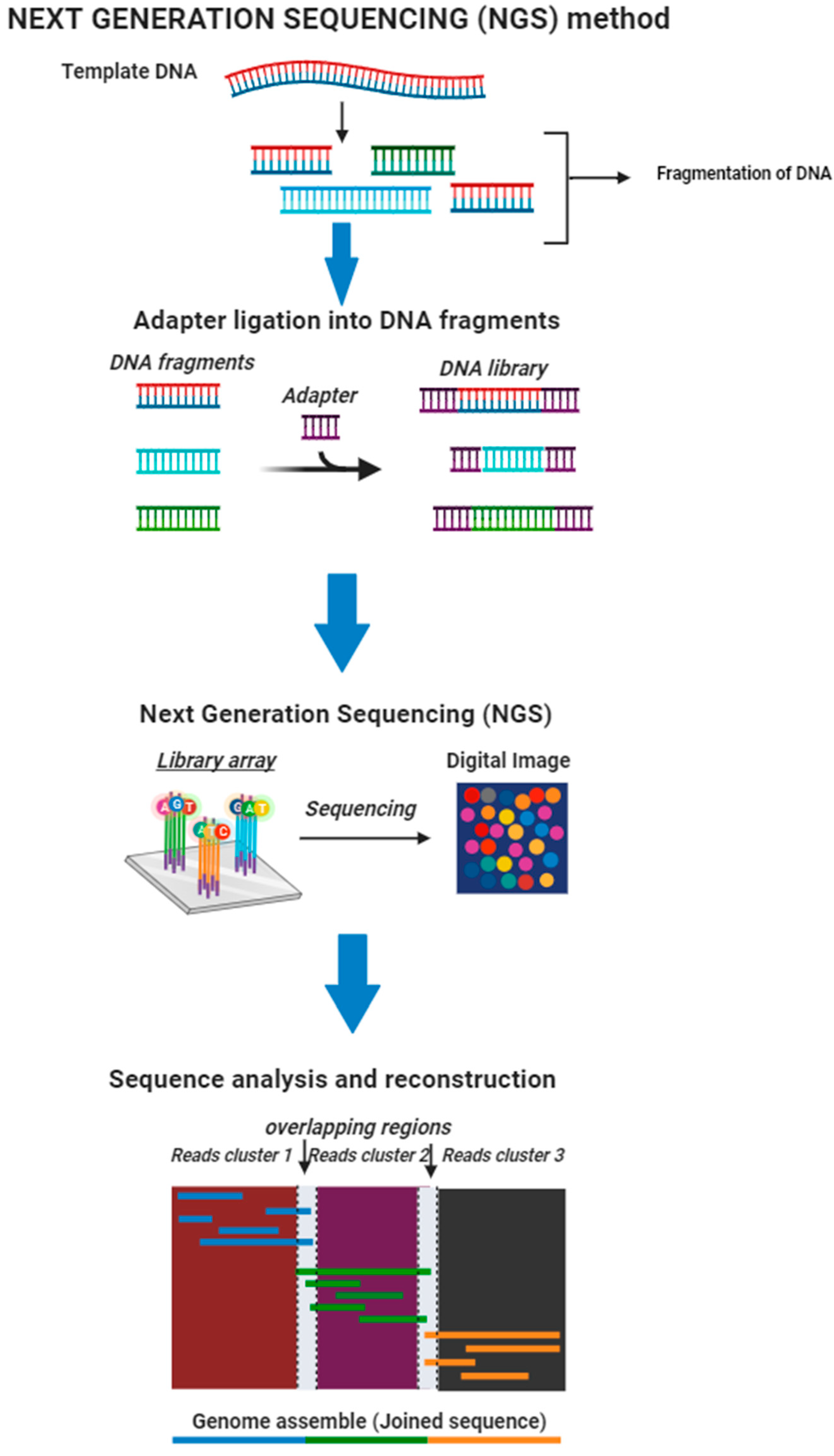 Microorganisms 12 00082 g002
